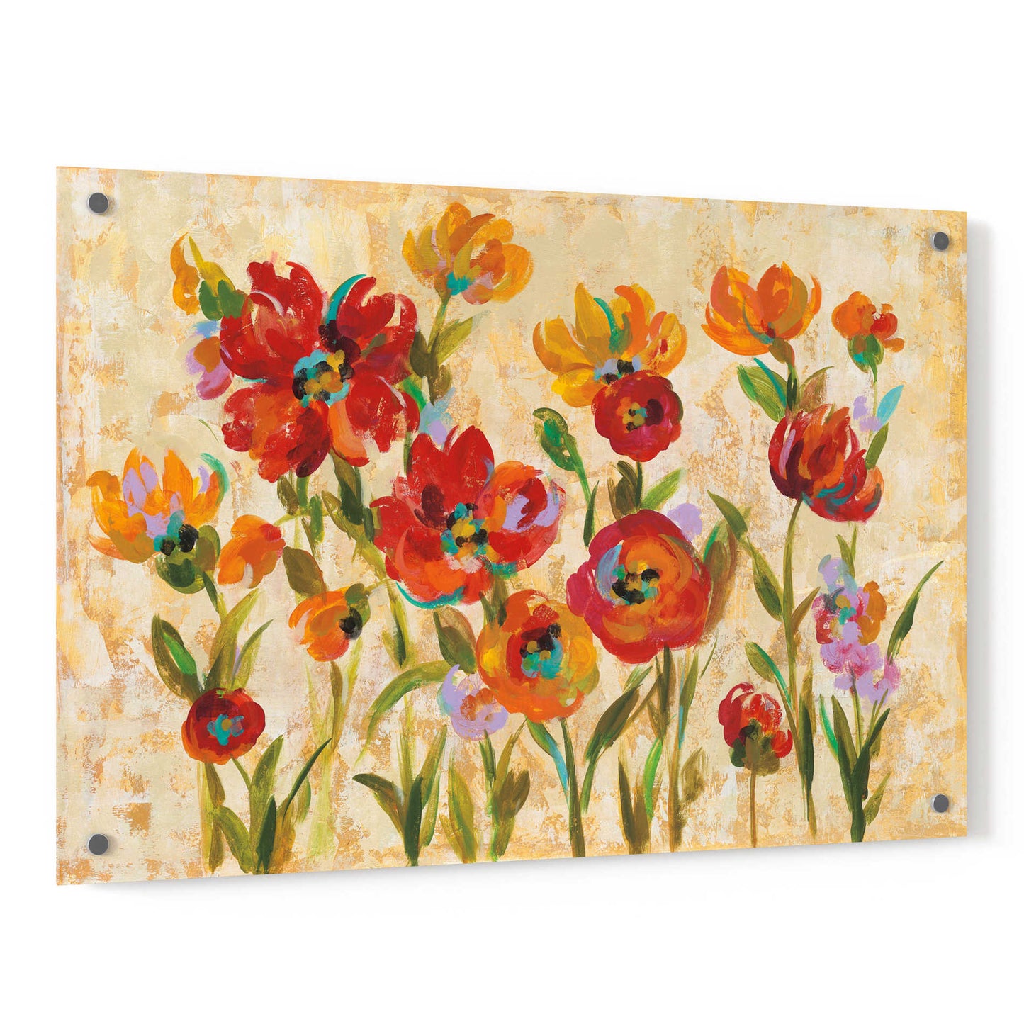 Epic Art 'July in the Garden I' by Silvia Vassileva, Acrylic Glass Wall Art,36x24