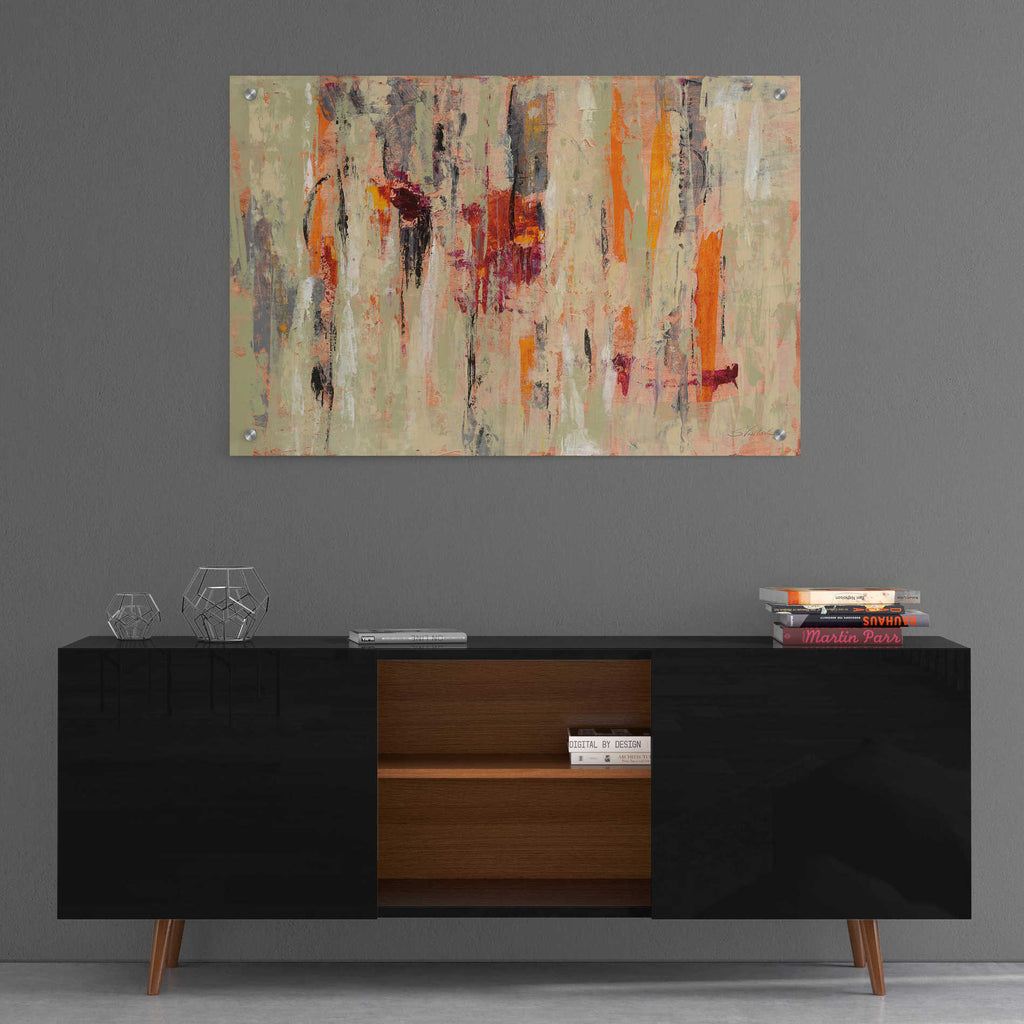 Epic Art 'Graffiti Wall I' by Silvia Vassileva, Acrylic Glass Wall Art,36x24