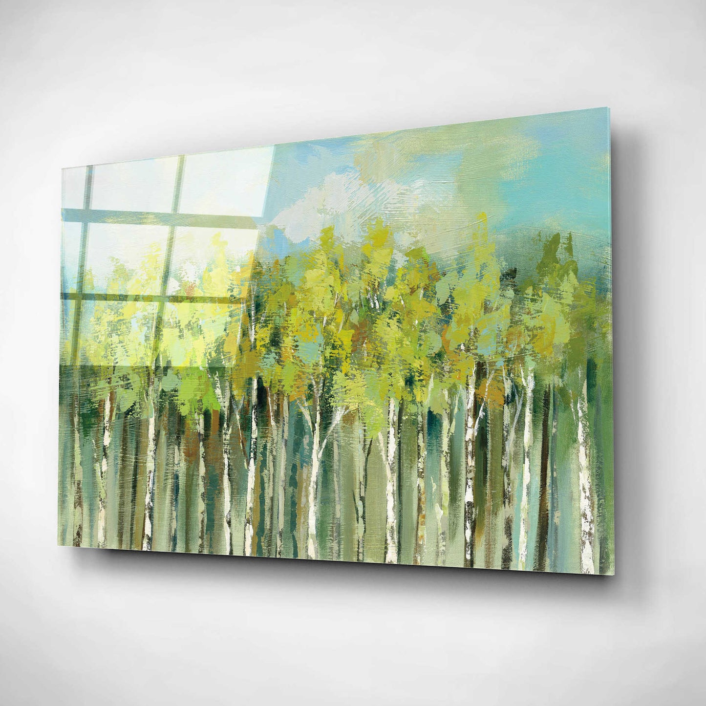 Epic Art 'April Tree Tops' by Silvia Vassileva, Acrylic Glass Wall Art,16x12