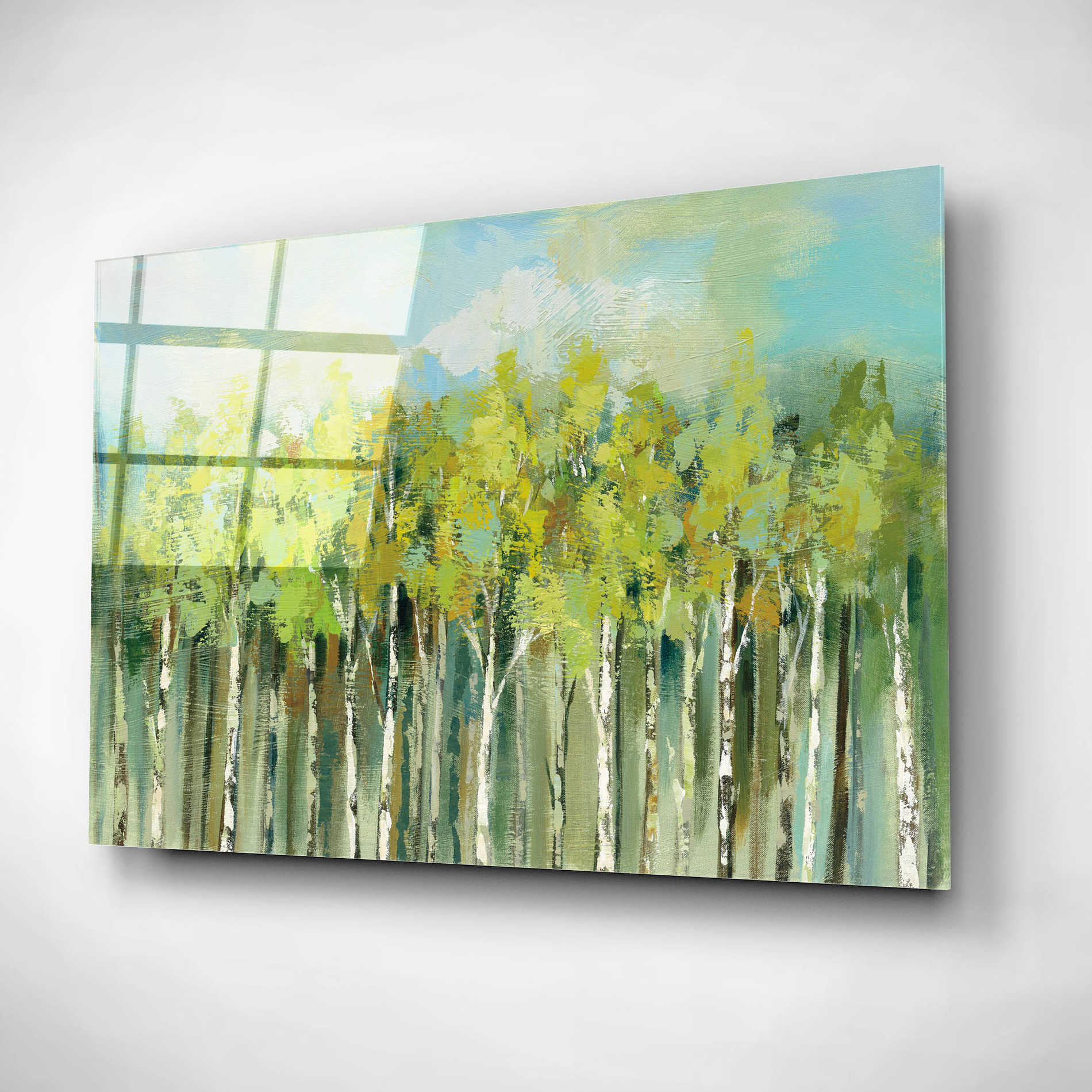 Epic Art 'April Tree Tops' by Silvia Vassileva, Acrylic Glass Wall Art,24x16