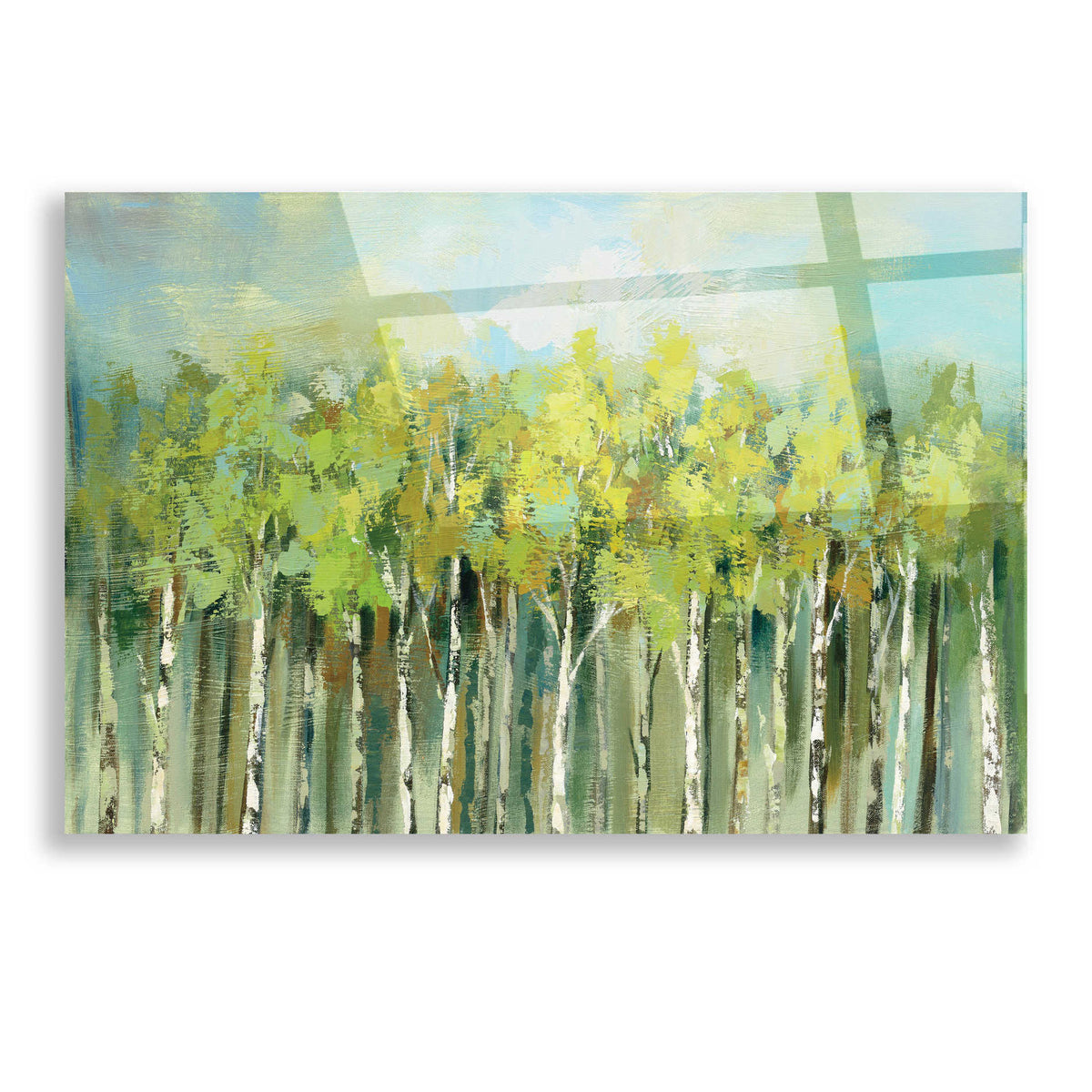 Epic Art 'April Tree Tops' by Silvia Vassileva, Acrylic Glass Wall Art