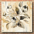 Epic Art 'English Rose II' by Silvia Vassileva, Acrylic Glass Wall Art,36x36