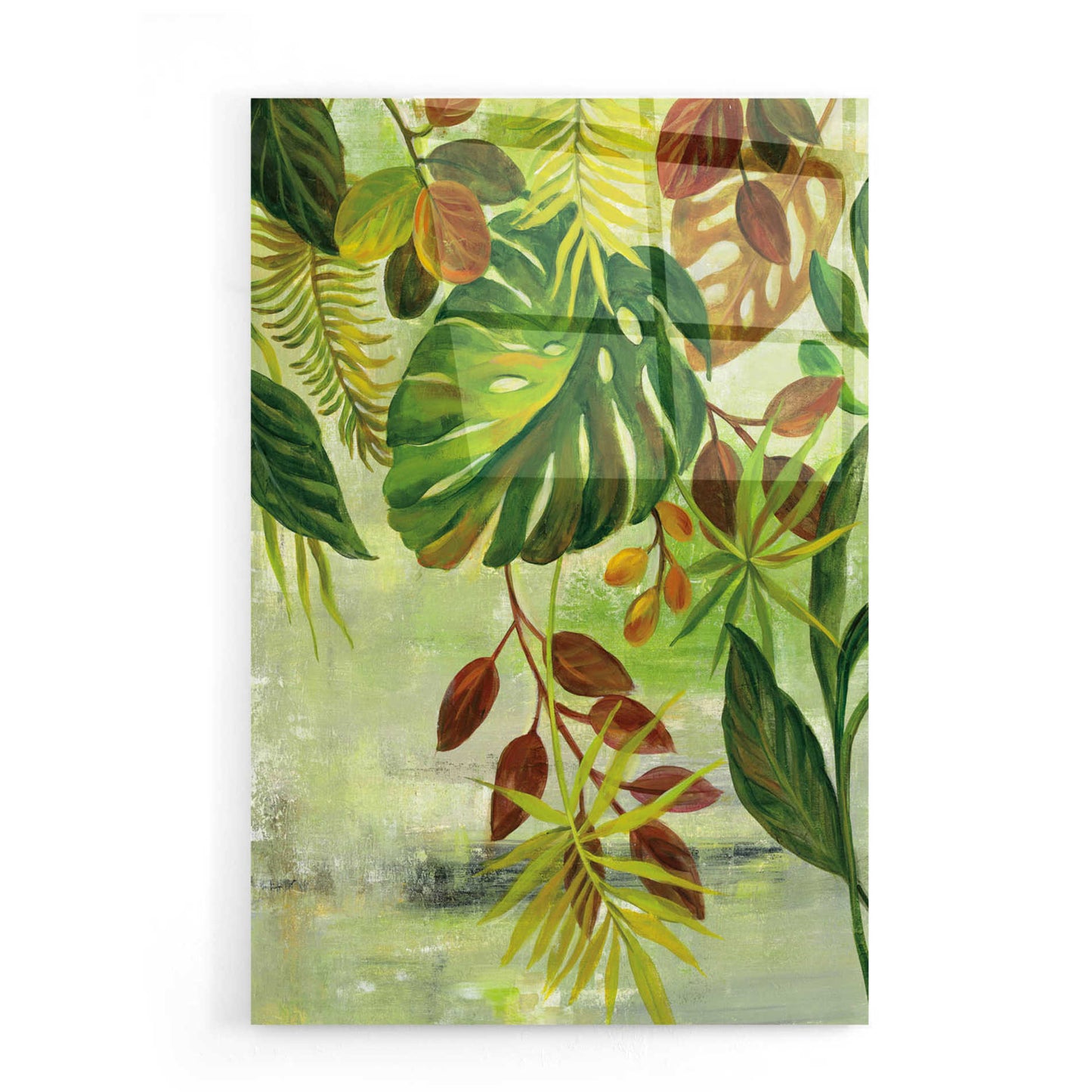 Epic Art 'Tropical Greenery II' by Silvia Vassileva, Acrylic Glass Wall Art,16x24