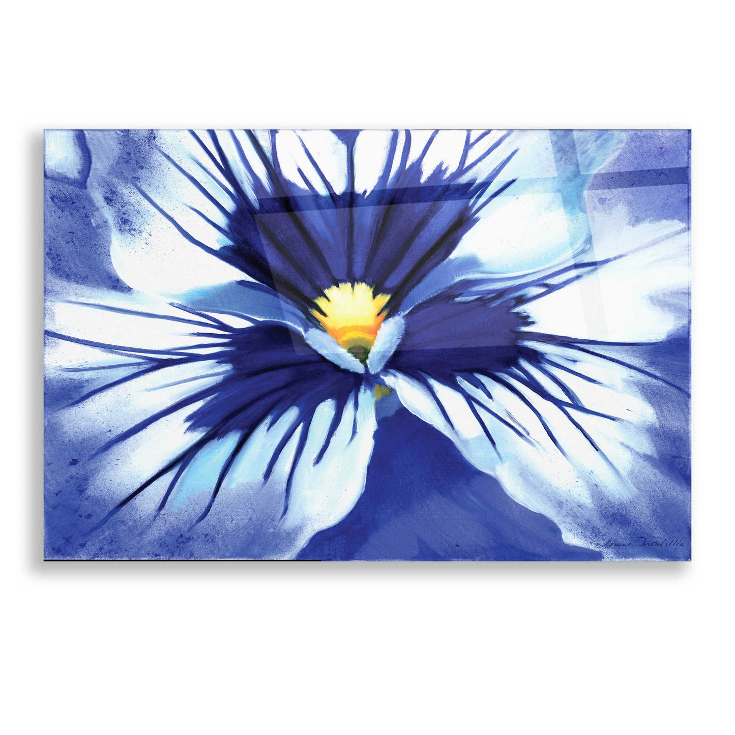 Epic Art 'Pansy Splash' by Louise Montillio, Acrylic Glass Wall Art,16x12