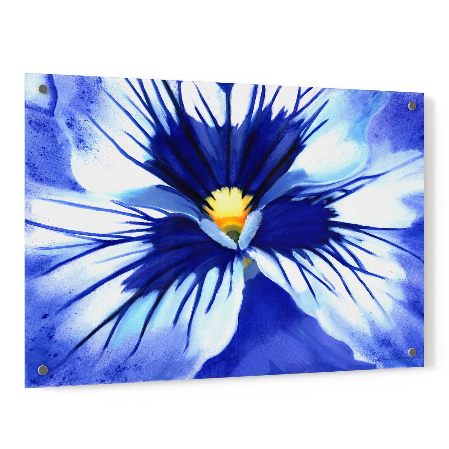 Epic Art 'Pansy Splash' by Louise Montillio, Acrylic Glass Wall Art,36x24