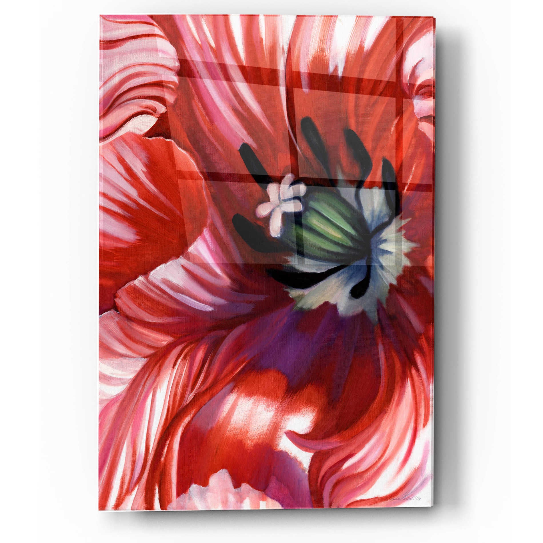 Epic Art 'Swashbuckler Poppy' by Louise Montillio, Acrylic Glass Wall Art,12x16