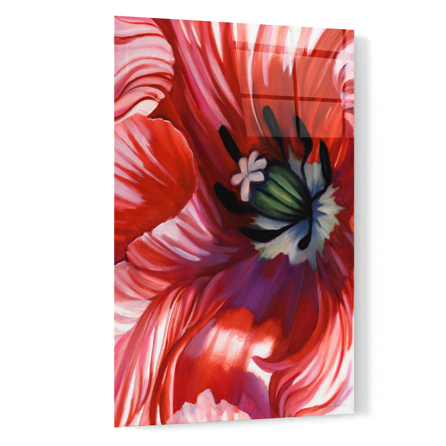 Epic Art 'Swashbuckler Poppy' by Louise Montillio, Acrylic Glass Wall Art,16x24