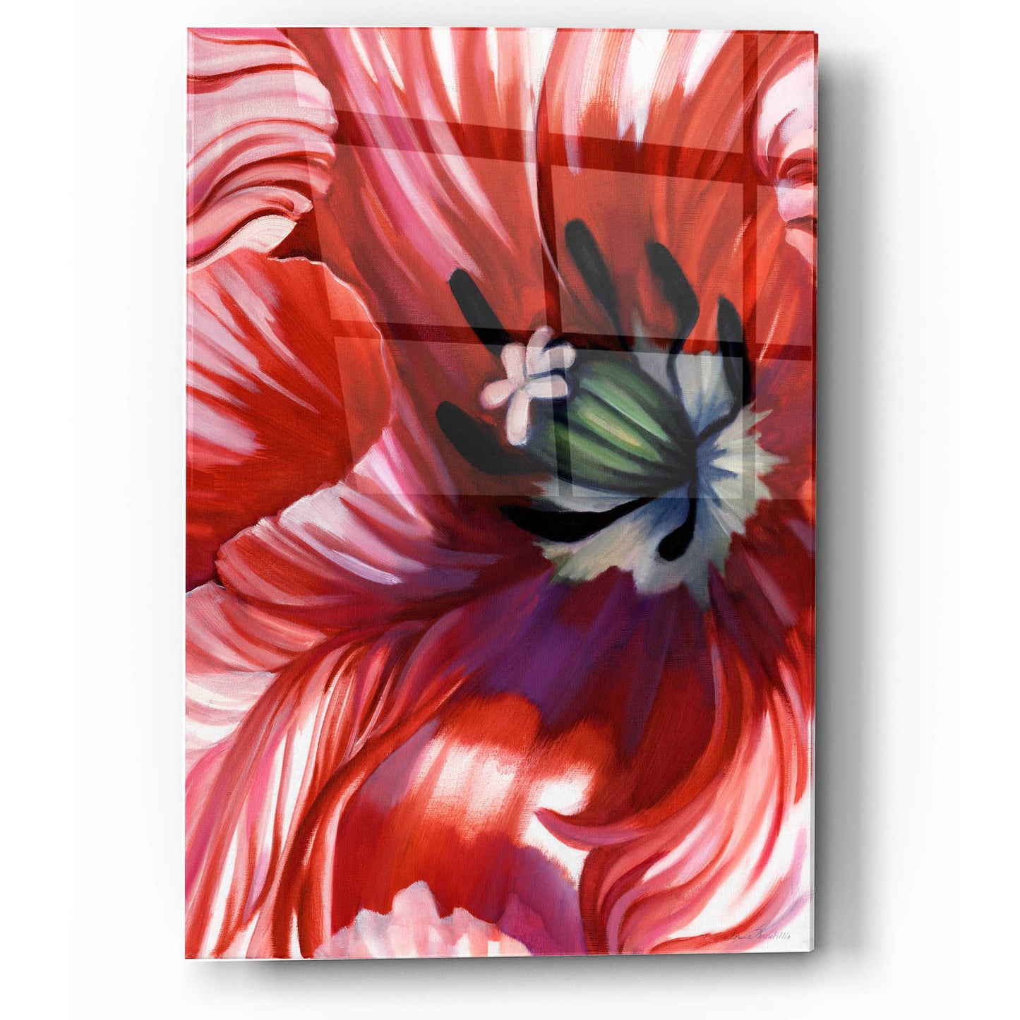 Epic Art 'Swashbuckler Poppy' by Louise Montillio, Acrylic Glass Wall Art