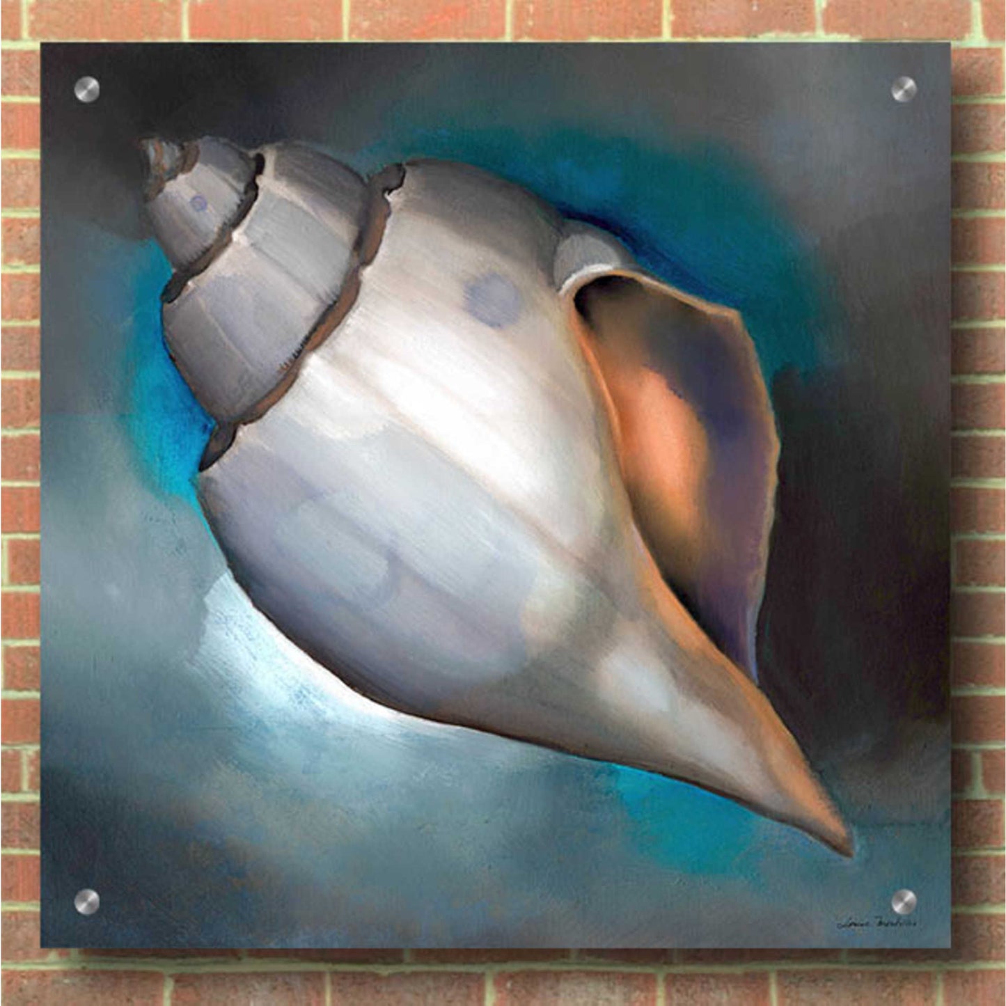 Epic Art 'Sea Shell Glow' by Louise Montillio, Acrylic Glass Wall Art,36x36