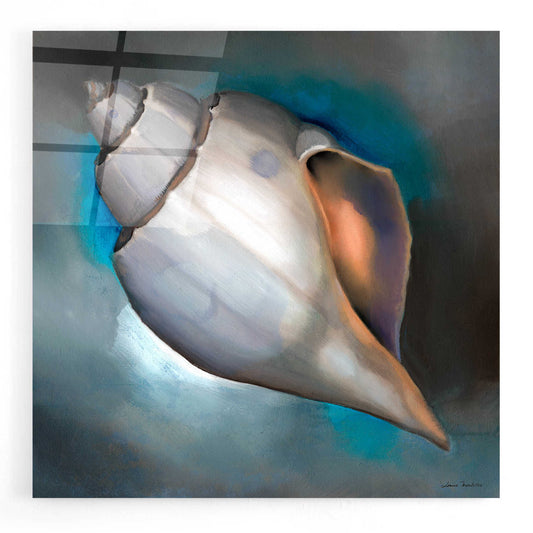 Epic Art 'Sea Shell Glow' by Louise Montillio, Acrylic Glass Wall Art