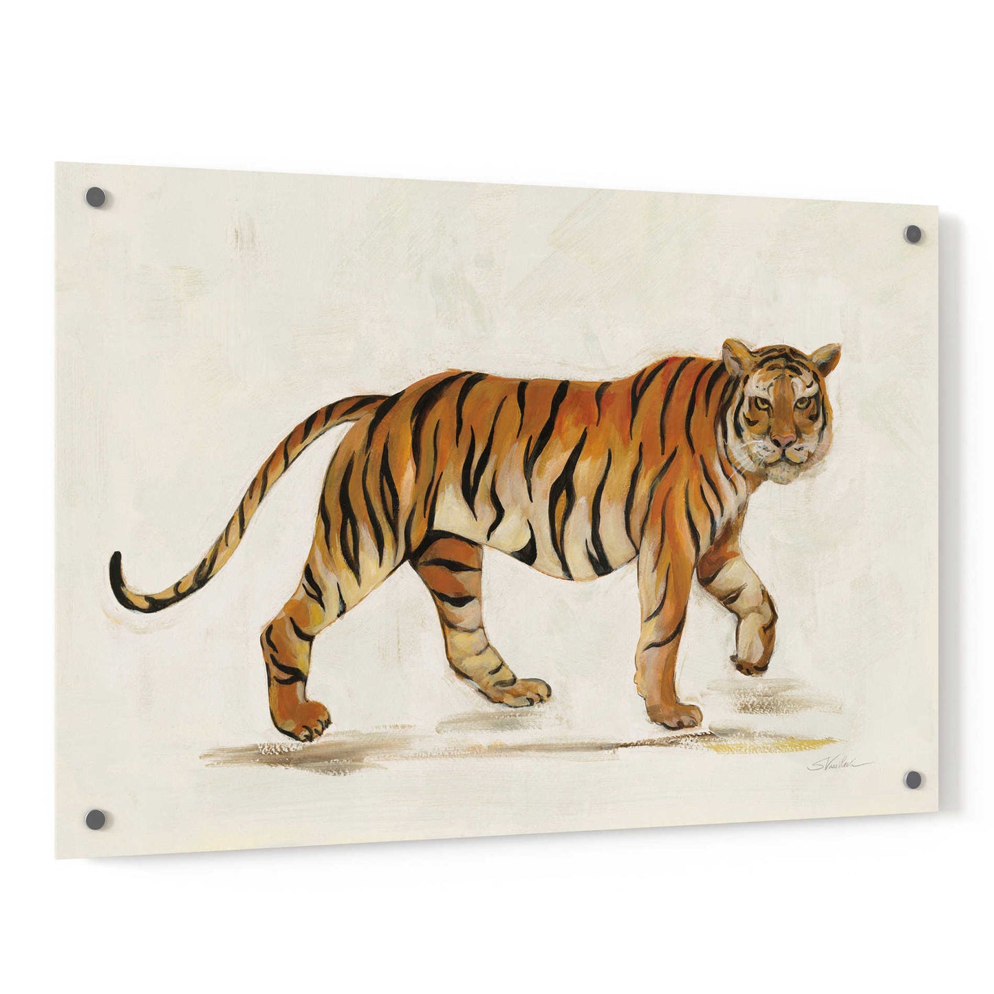 Epic Art 'Walking Tiger Light' by Silvia Vassileva, Acrylic Glass Wall Art,36x24