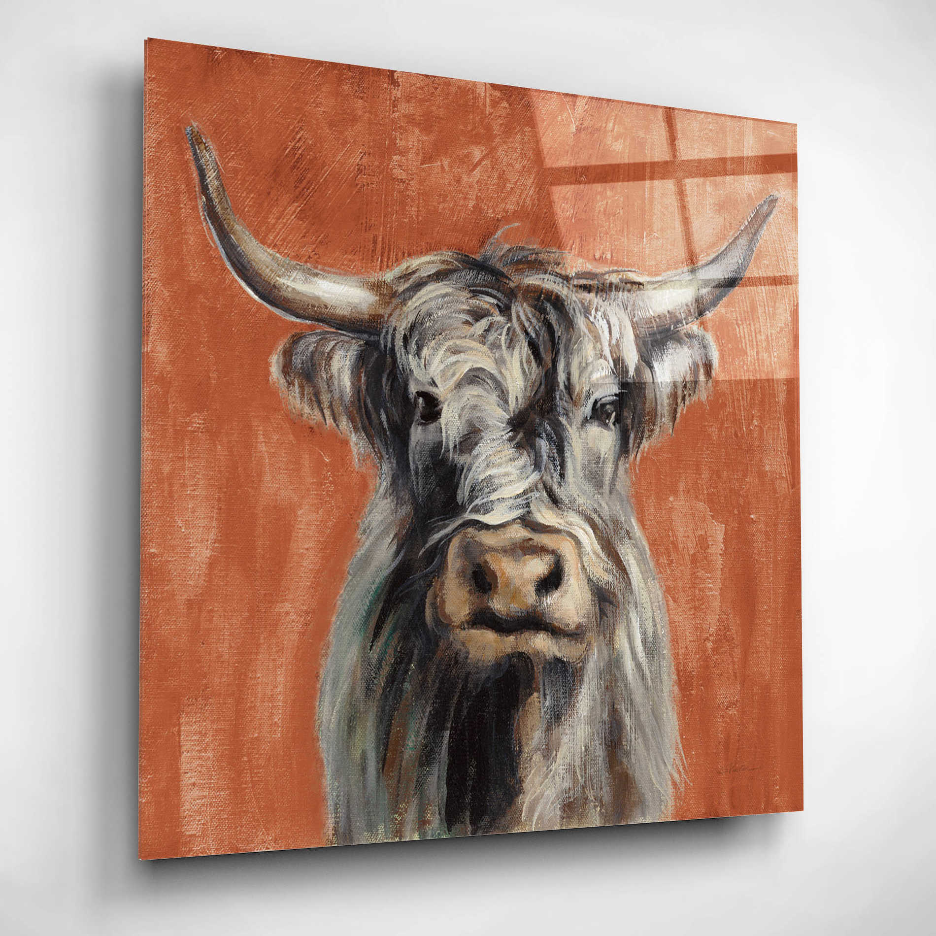 Epic Art 'Highland Cow on Terracotta' by Silvia Vassileva, Acrylic Glass Wall Art,12x12