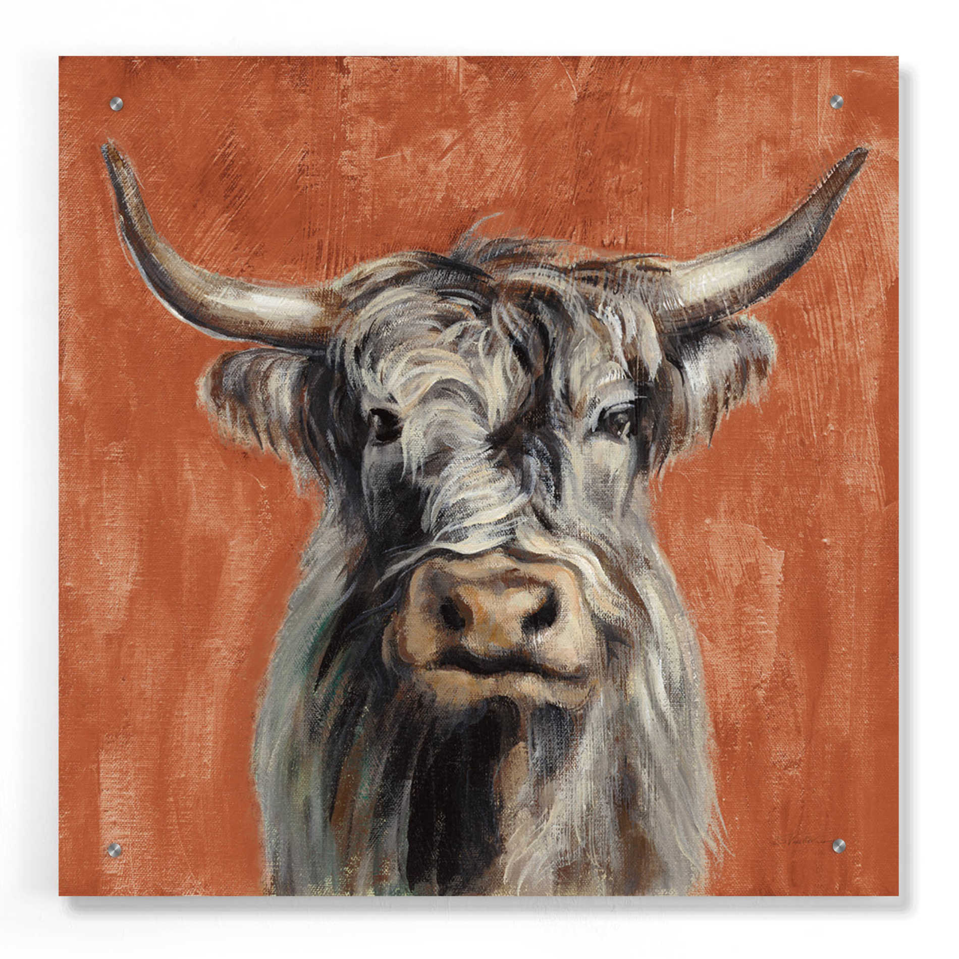 Epic Art 'Highland Cow on Terracotta' by Silvia Vassileva, Acrylic Glass Wall Art,24x24