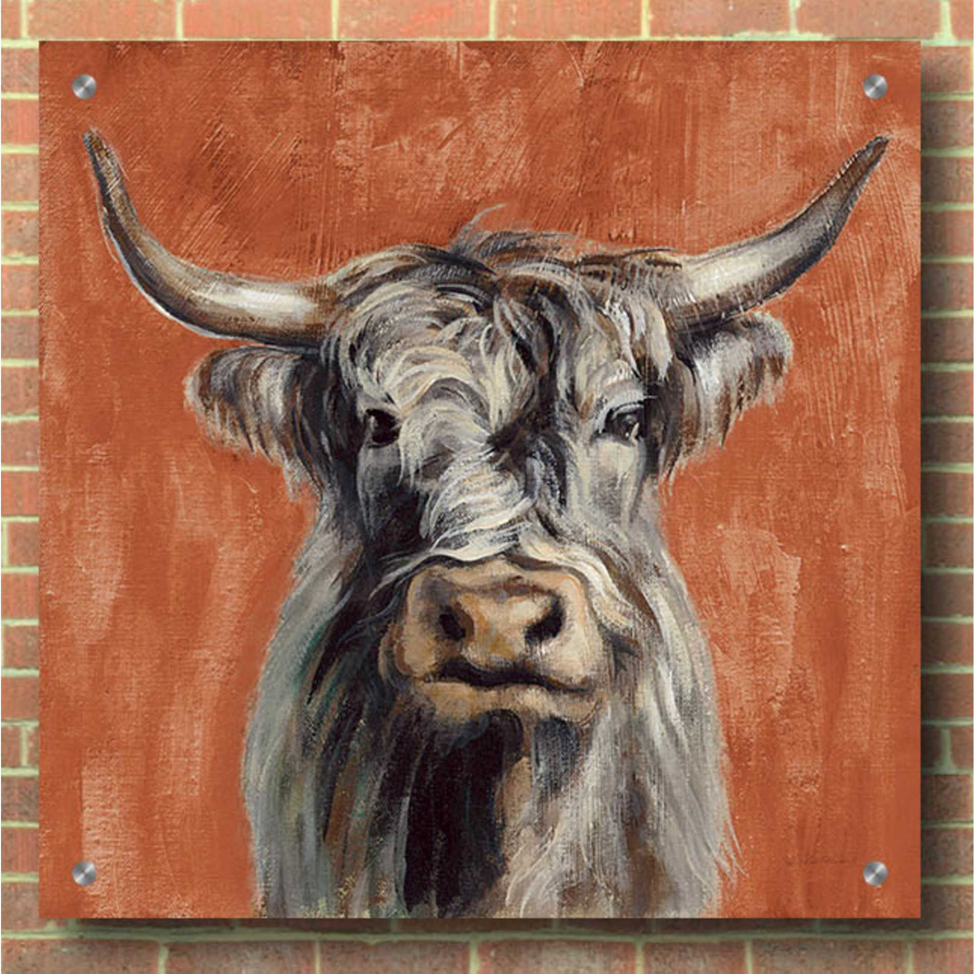 Epic Art 'Highland Cow on Terracotta' by Silvia Vassileva, Acrylic Glass Wall Art,36x36