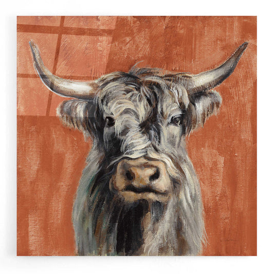Epic Art 'Highland Cow on Terracotta' by Silvia Vassileva, Acrylic Glass Wall Art