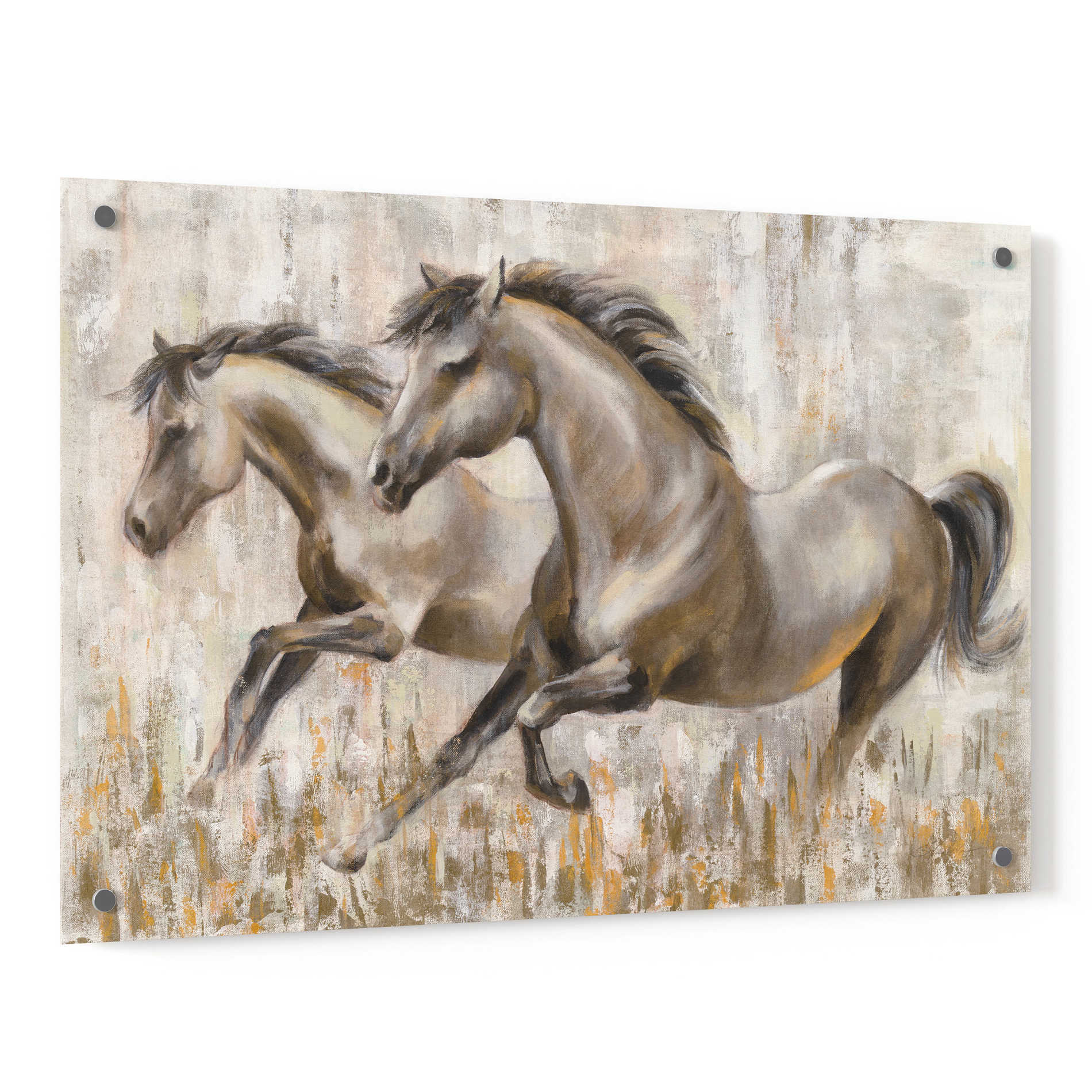 Epic Art 'Running Horses' by Silvia Vassileva, Acrylic Glass Wall Art,36x24
