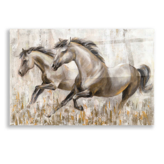 Epic Art 'Running Horses' by Silvia Vassileva, Acrylic Glass Wall Art