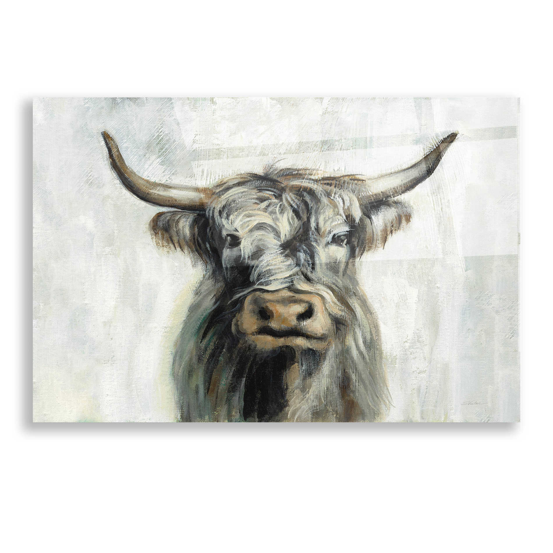 Epic Art 'Highland Cow Horizontal' by Silvia Vassileva, Acrylic Glass Wall Art,16x12