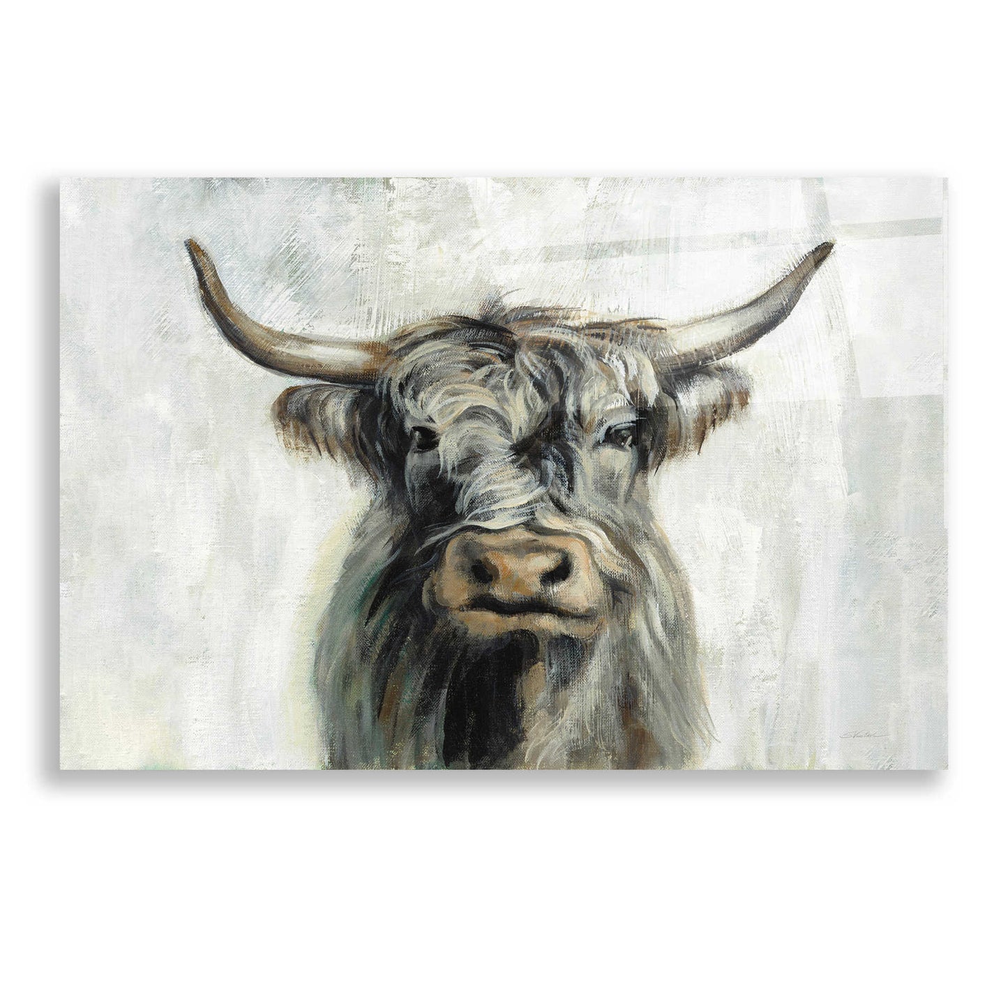 Epic Art 'Highland Cow Horizontal' by Silvia Vassileva, Acrylic Glass Wall Art,24x16