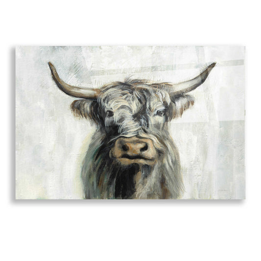Epic Art 'Highland Cow Horizontal' by Silvia Vassileva, Acrylic Glass Wall Art