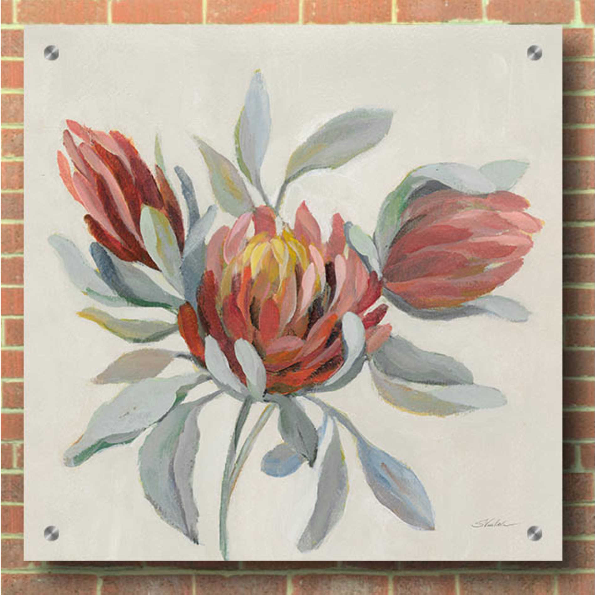 Epic Art 'Field Bloom I' by Silvia Vassileva, Acrylic Glass Wall Art,36x36