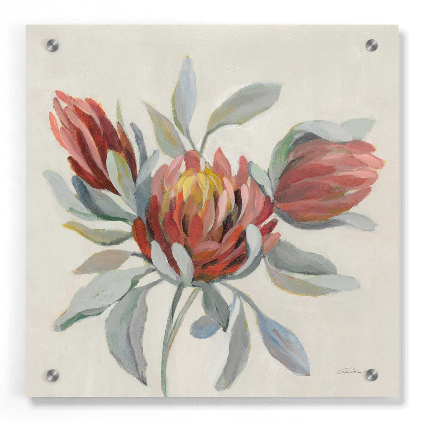 Epic Art 'Field Bloom I' by Silvia Vassileva, Acrylic Glass Wall Art,36x36