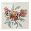 Epic Art 'Field Bloom I' by Silvia Vassileva, Acrylic Glass Wall Art
