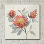 Epic Art 'Field Bloom II' by Silvia Vassileva, Acrylic Glass Wall Art,12x12