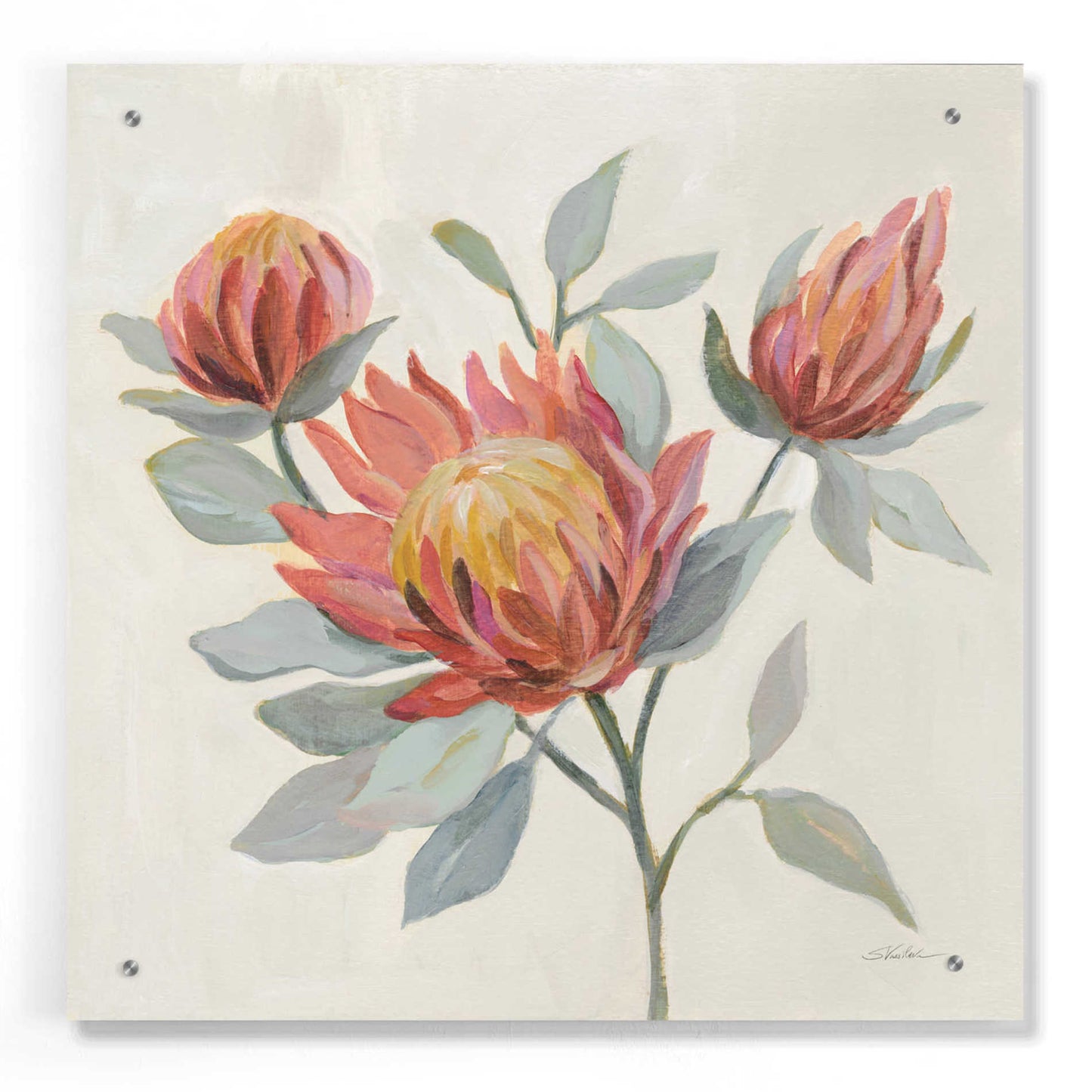 Epic Art 'Field Bloom II' by Silvia Vassileva, Acrylic Glass Wall Art,24x24