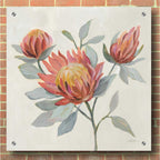 Epic Art 'Field Bloom II' by Silvia Vassileva, Acrylic Glass Wall Art,36x36