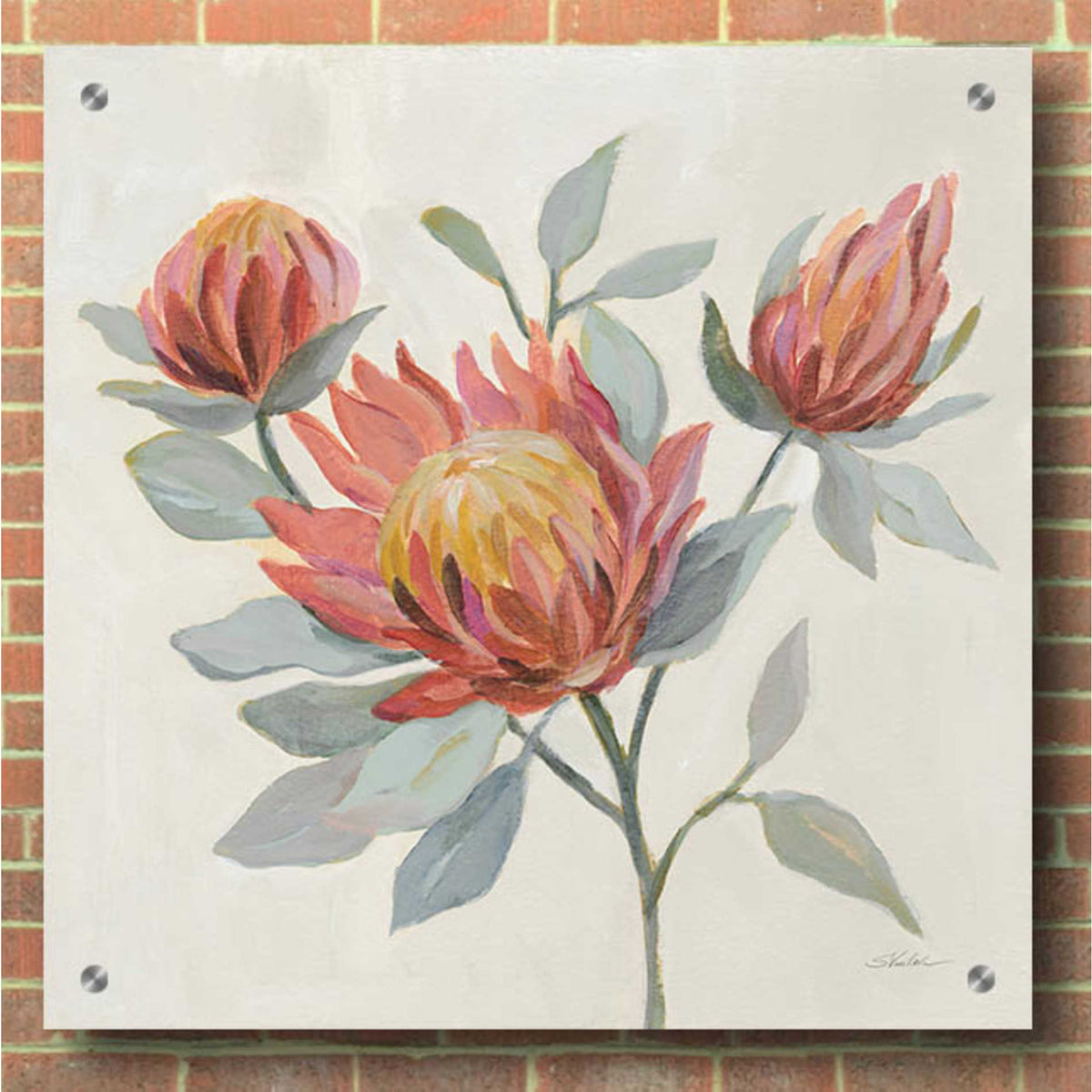 Epic Art 'Field Bloom II' by Silvia Vassileva, Acrylic Glass Wall Art,36x36