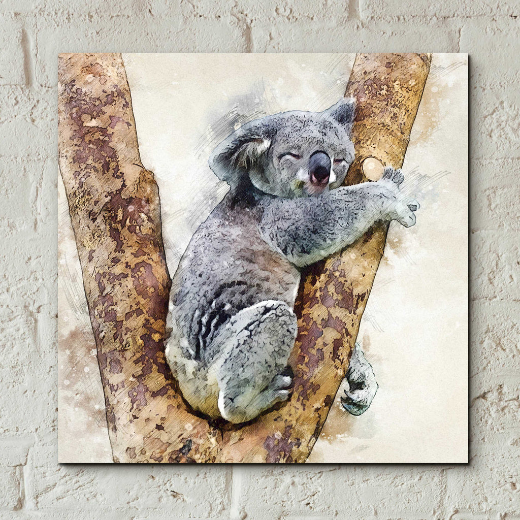 Epic Art 'Koala 4' by Kim Curinga, Acrylic Glass Wall Art,12x12