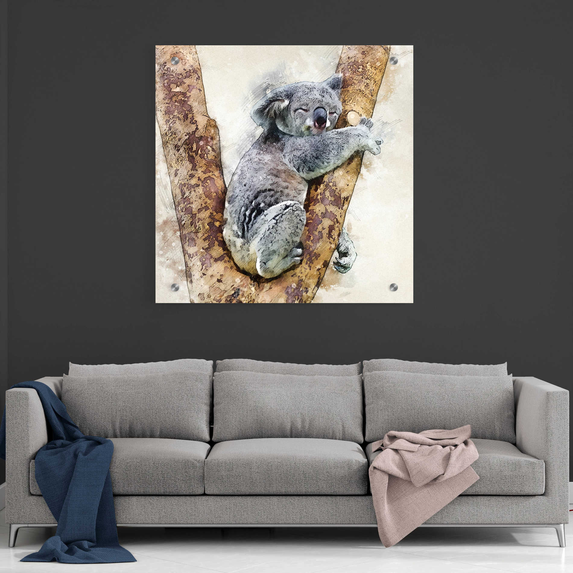 Epic Art 'Koala 4' by Kim Curinga, Acrylic Glass Wall Art,36x36