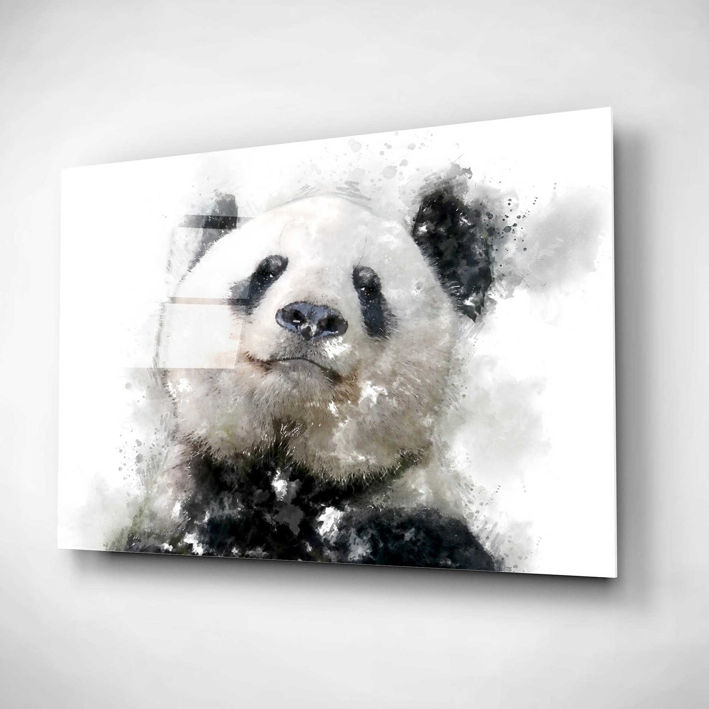 Epic Art 'Panda Love' by Kim Curinga, Acrylic Glass Wall Art,16x12