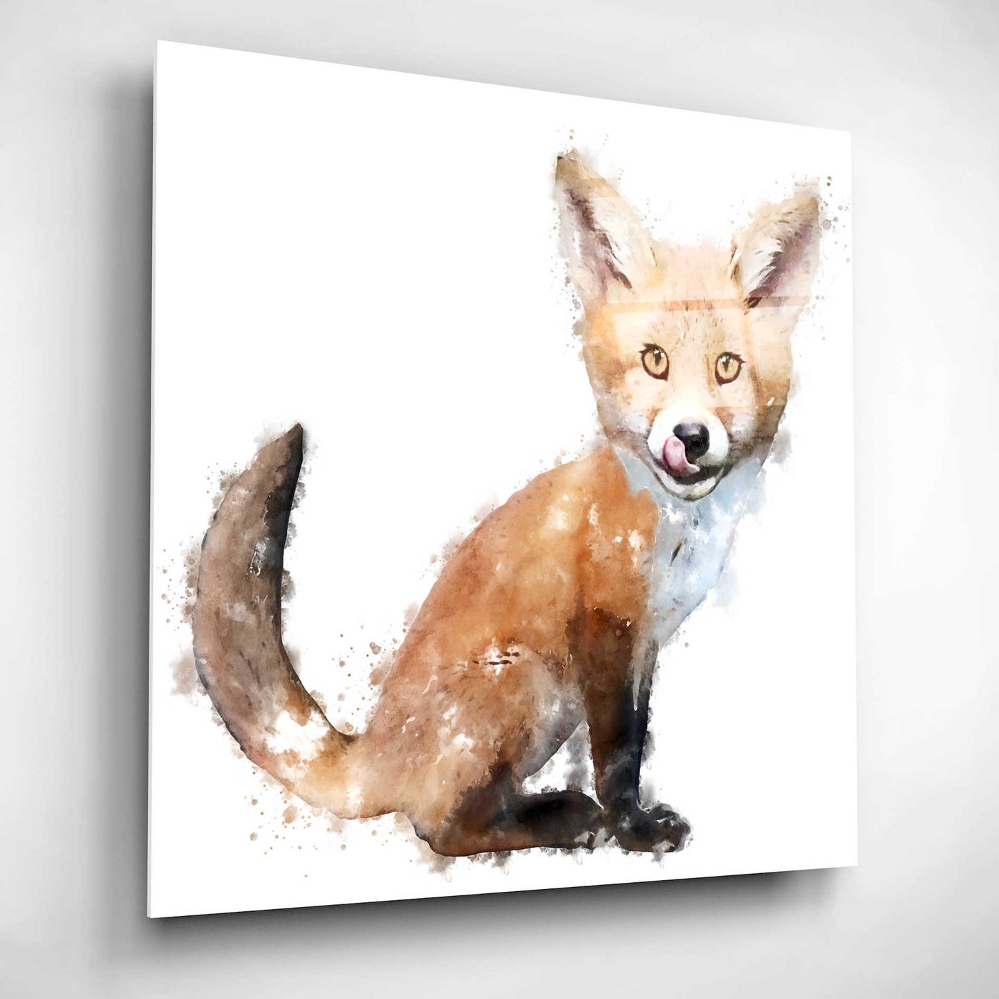 Epic Art 'Foxy Good' by Kim Curinga, Acrylic Glass Wall Art,12x12