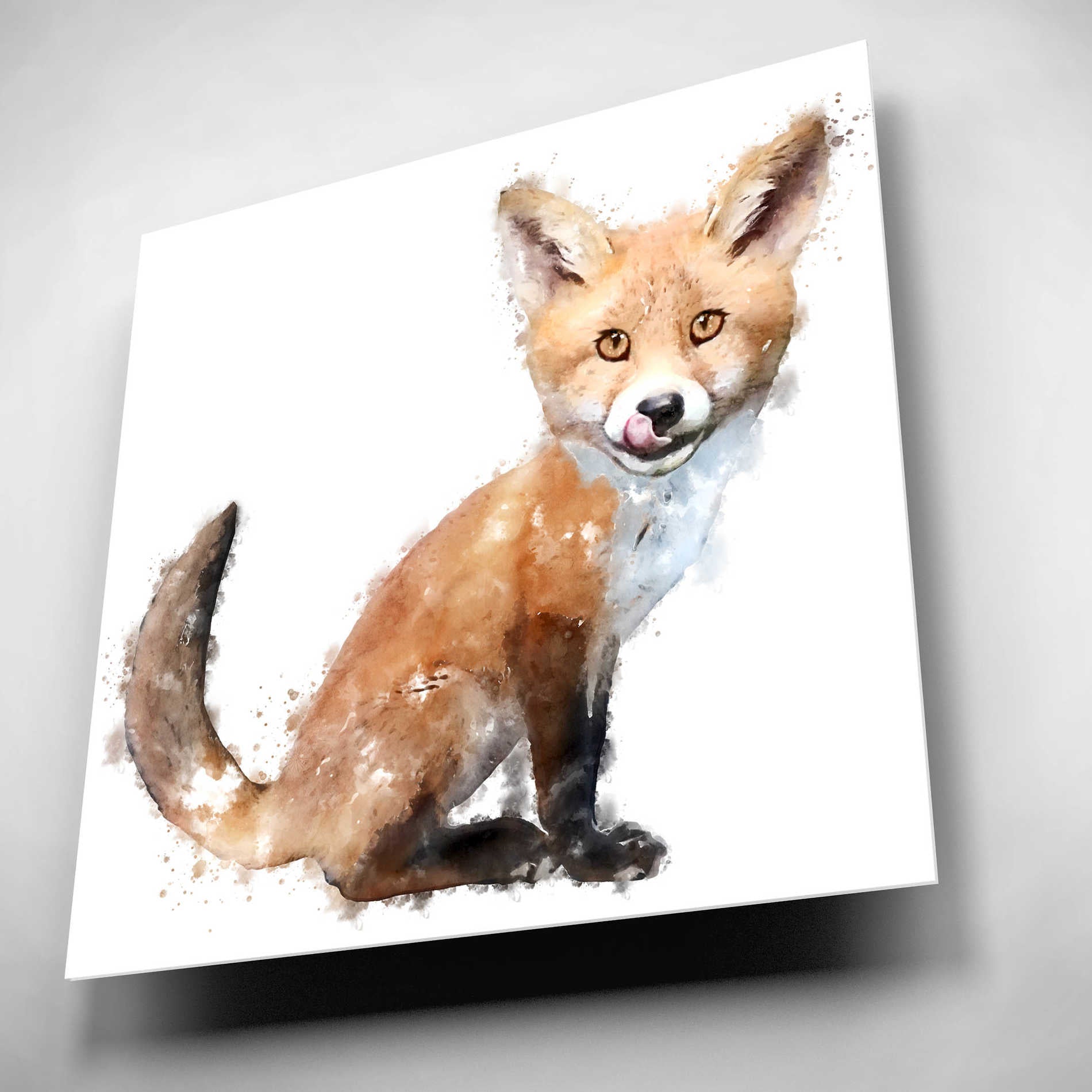 Epic Art 'Foxy Good' by Kim Curinga, Acrylic Glass Wall Art,12x12