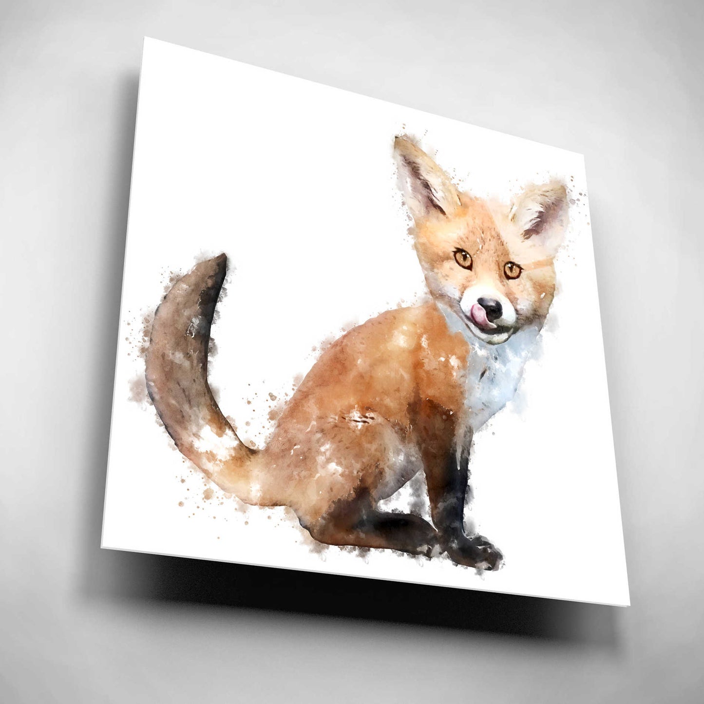 Epic Art 'Foxy Good' by Kim Curinga, Acrylic Glass Wall Art,12x12