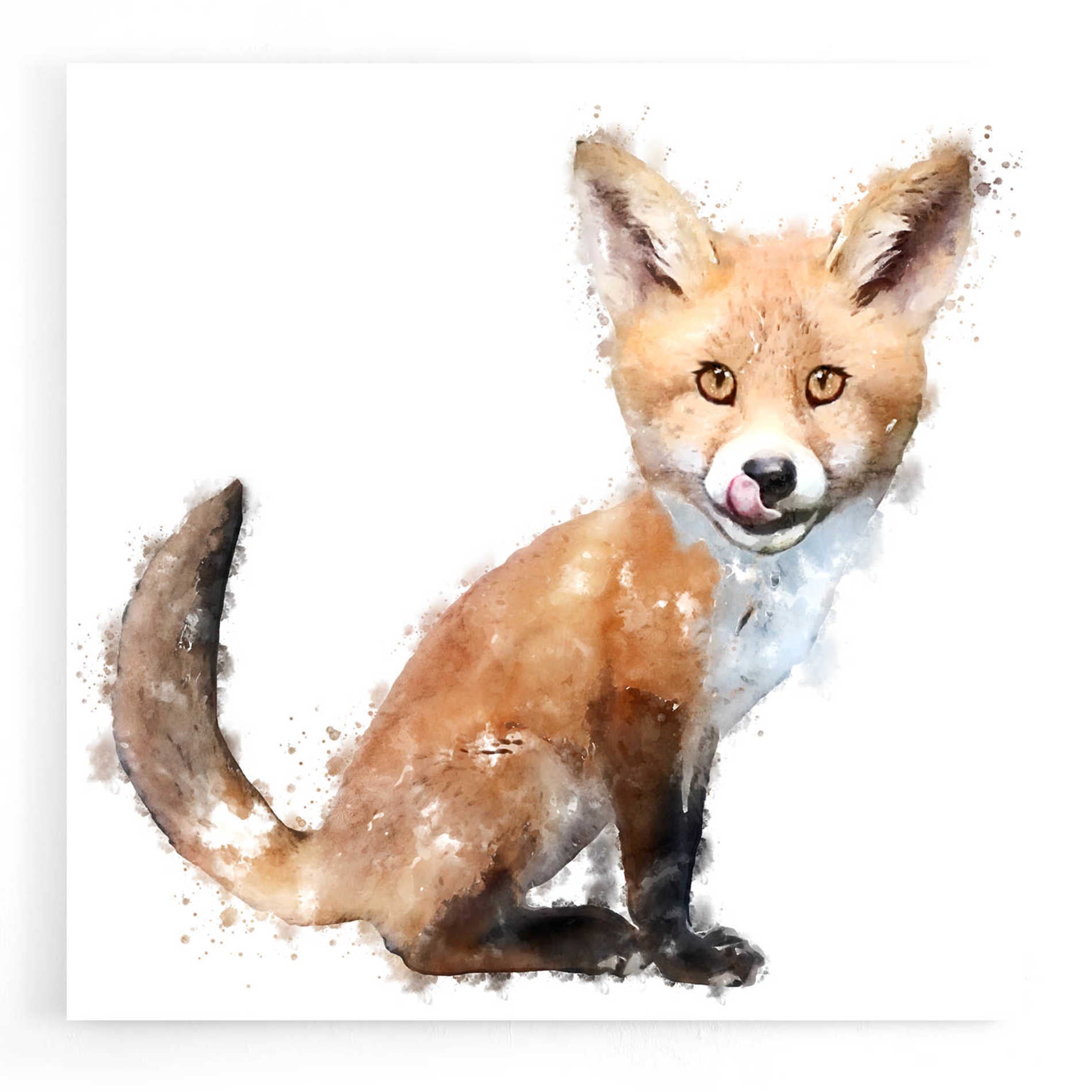 Epic Art 'Foxy Good' by Kim Curinga, Acrylic Glass Wall Art,12x12