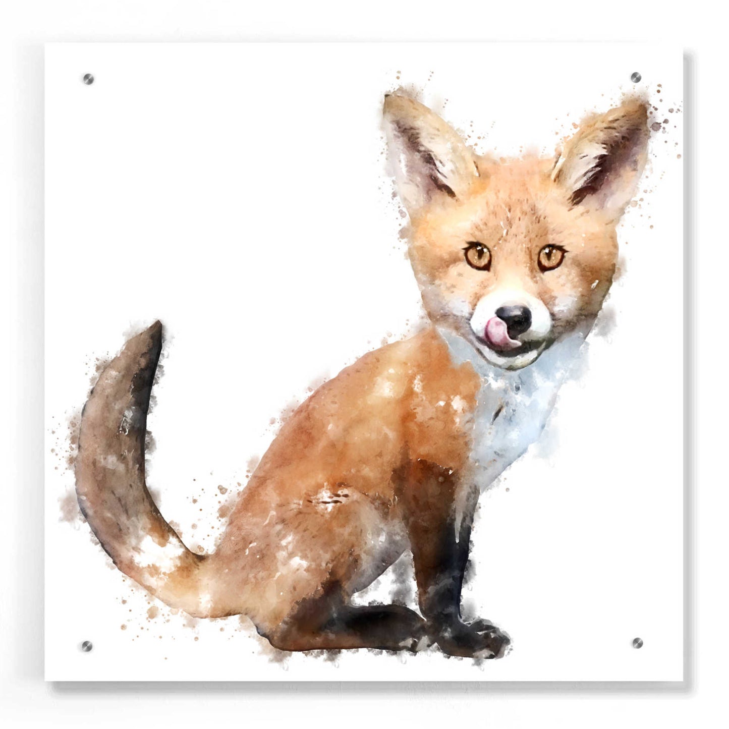 Epic Art 'Foxy Good' by Kim Curinga, Acrylic Glass Wall Art,24x24