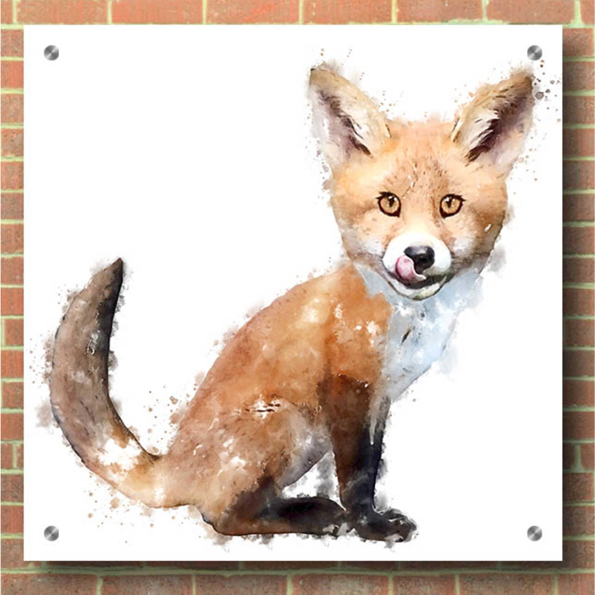 Epic Art 'Foxy Good' by Kim Curinga, Acrylic Glass Wall Art,36x36