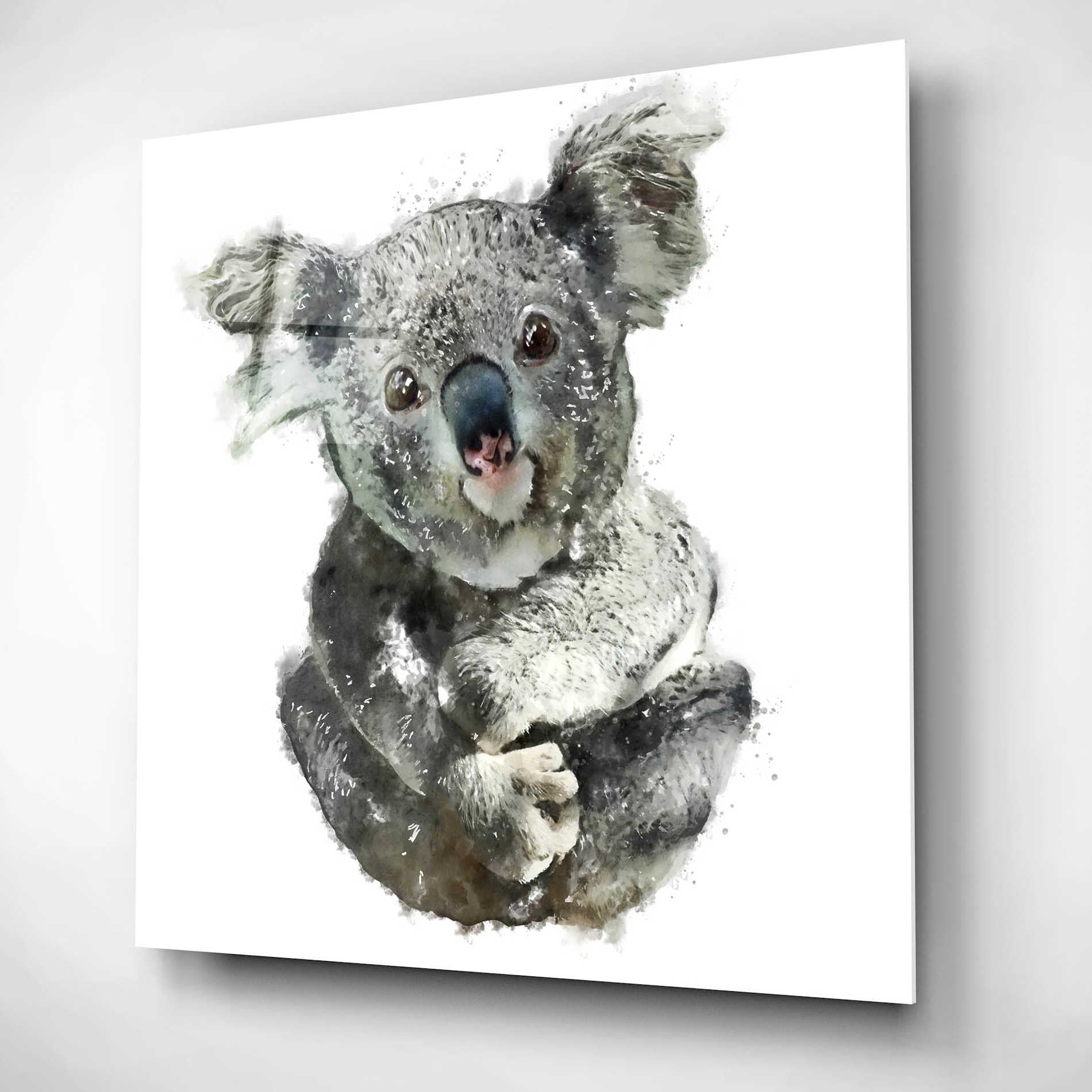 Epic Art 'Koala Cuddle' by Kim Curinga, Acrylic Glass Wall Art,12x12