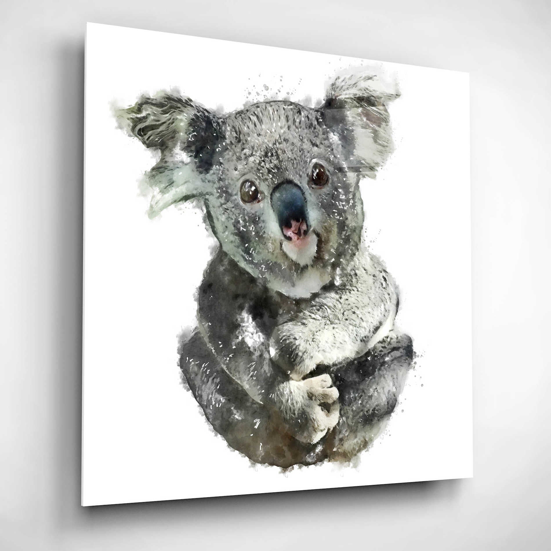 Epic Art 'Koala Cuddle' by Kim Curinga, Acrylic Glass Wall Art,12x12