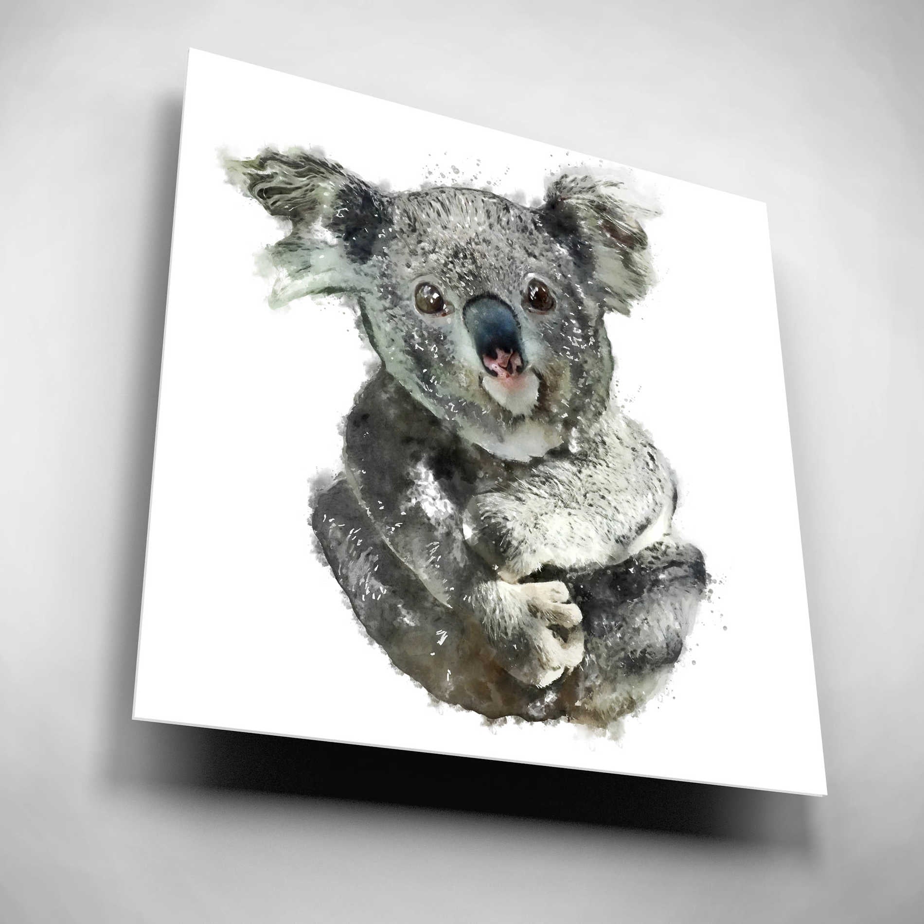 Epic Art 'Koala Cuddle' by Kim Curinga, Acrylic Glass Wall Art,12x12