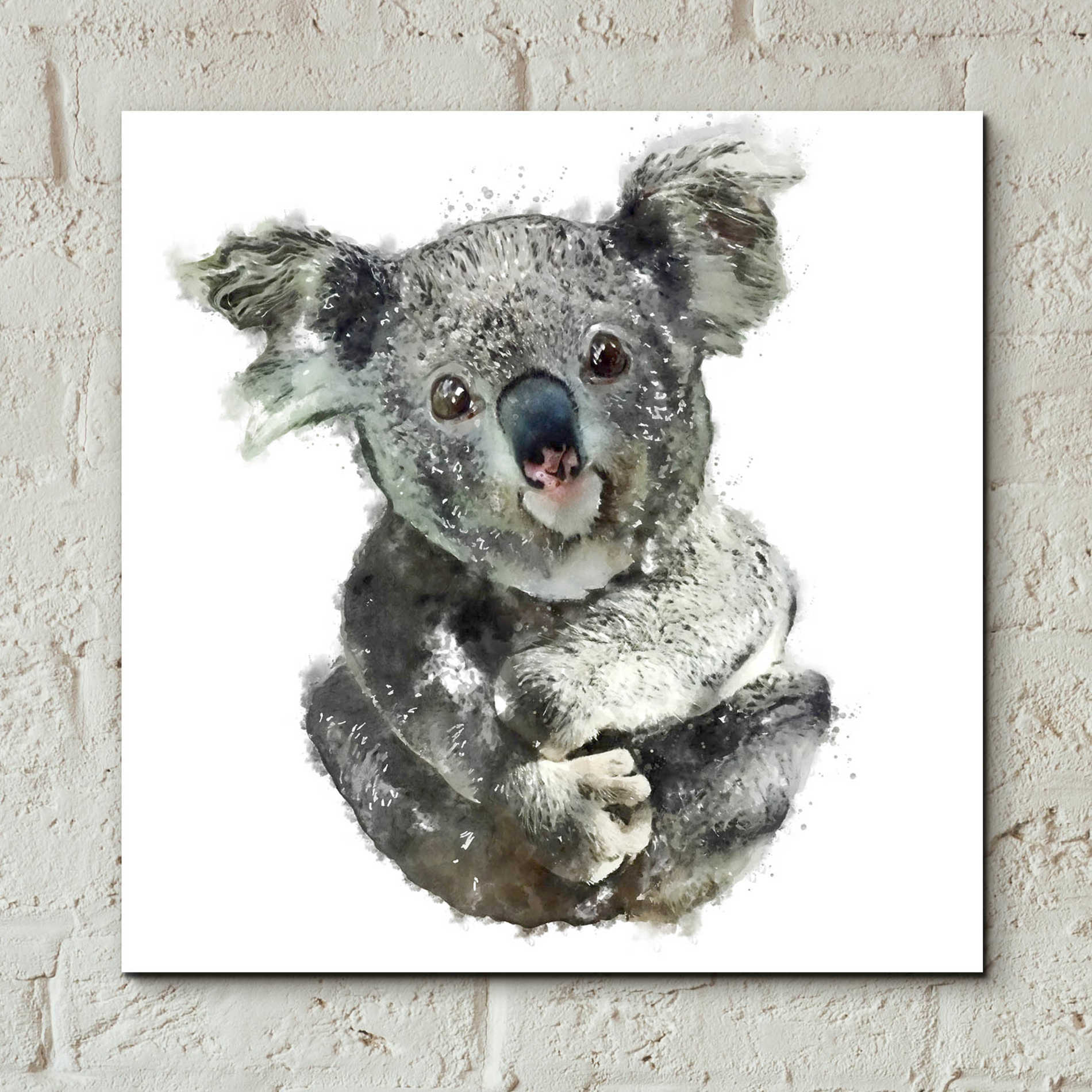 Epic Art 'Koala Cuddle' by Kim Curinga, Acrylic Glass Wall Art,12x12