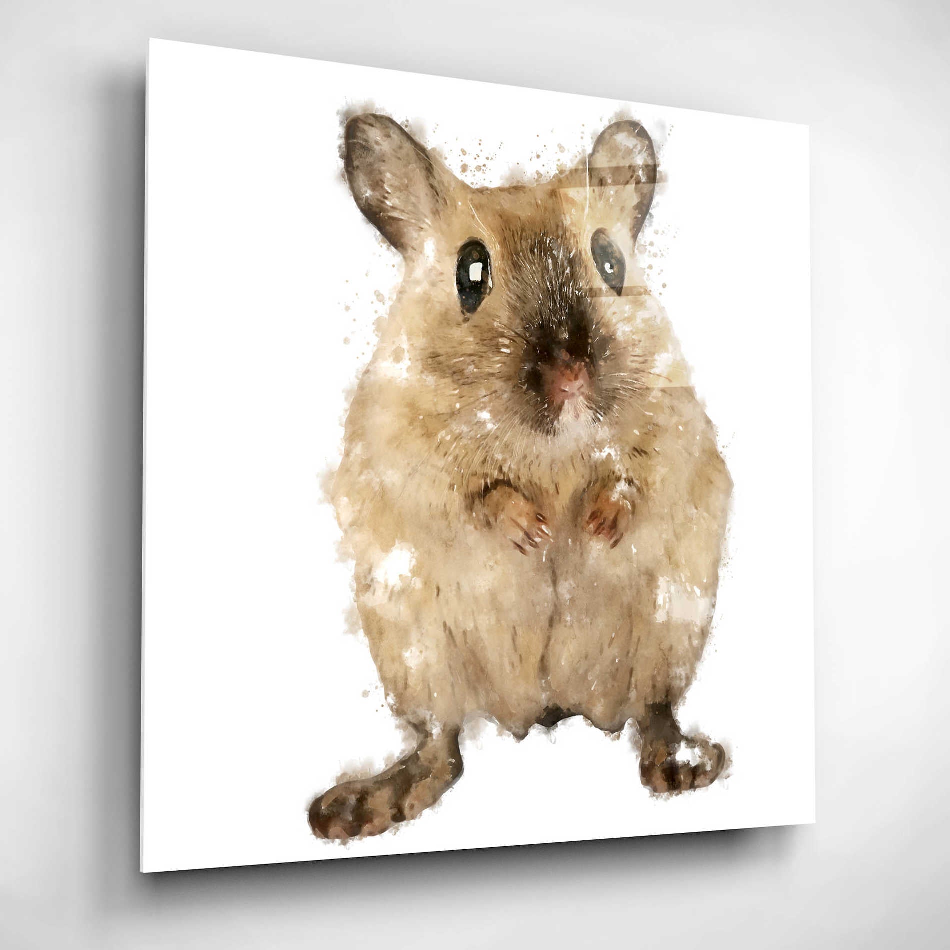 Epic Art 'Curious Mouse' by Kim Curinga, Acrylic Glass Wall Art,12x12