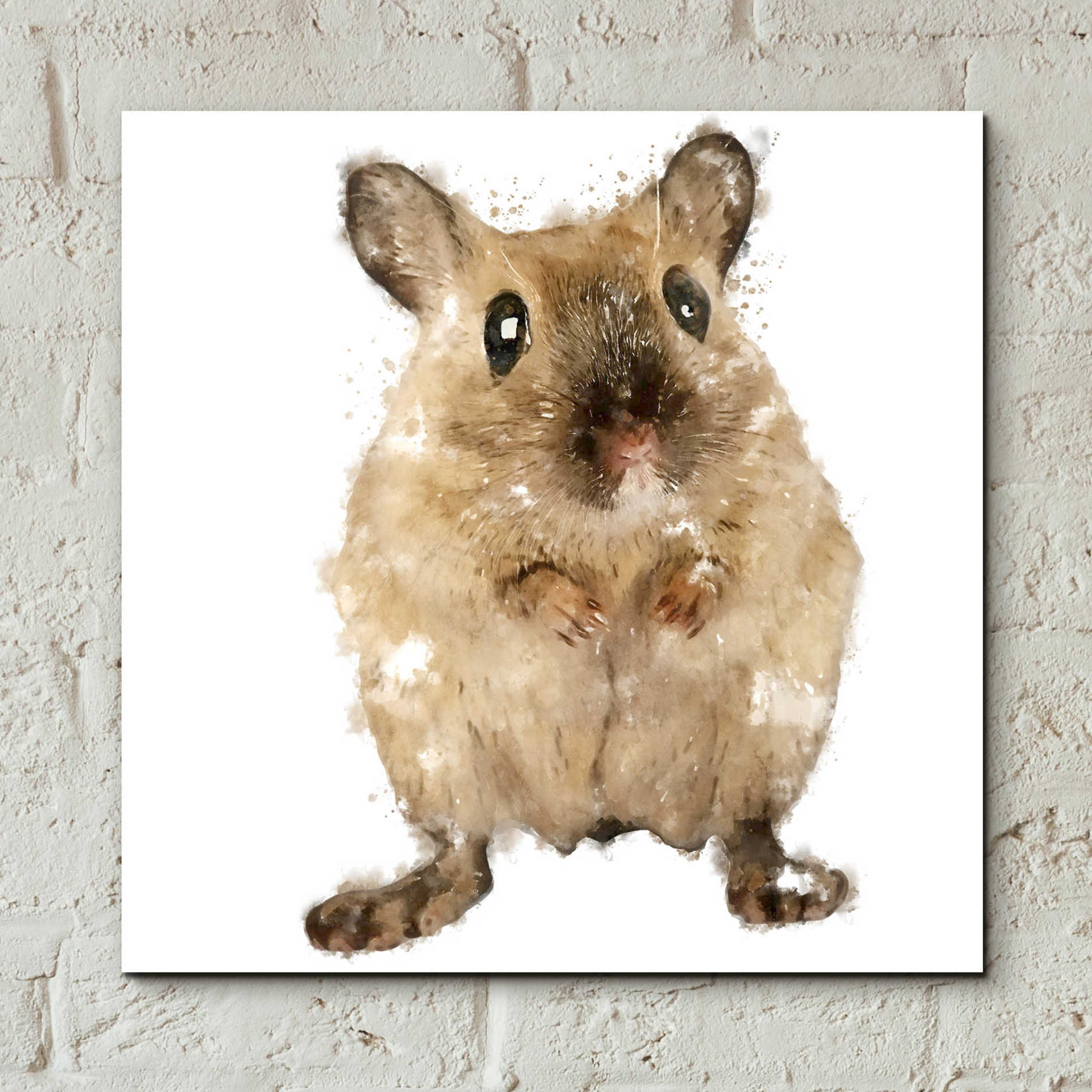 Epic Art 'Curious Mouse' by Kim Curinga, Acrylic Glass Wall Art,12x12