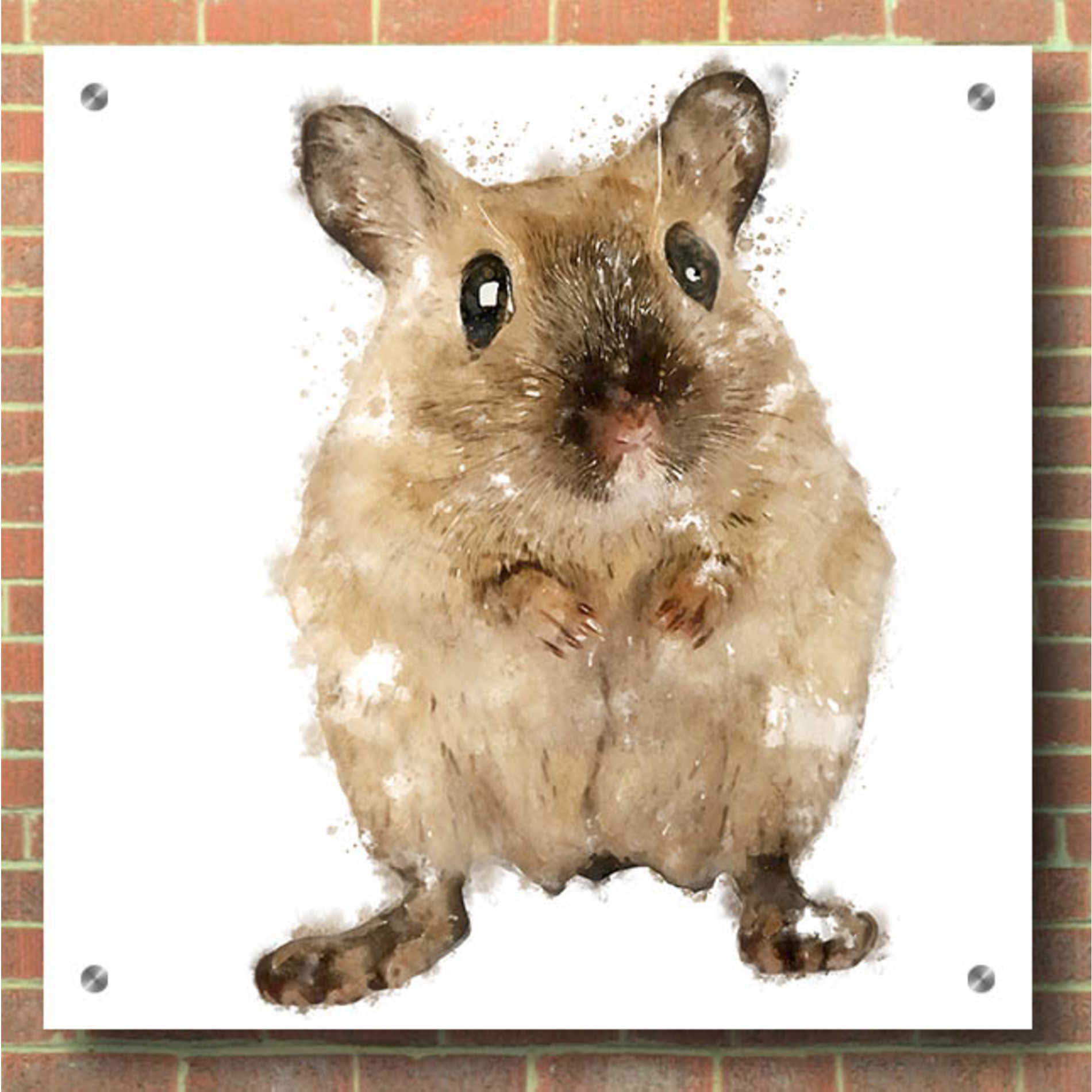 Epic Art 'Curious Mouse' by Kim Curinga, Acrylic Glass Wall Art,36x36