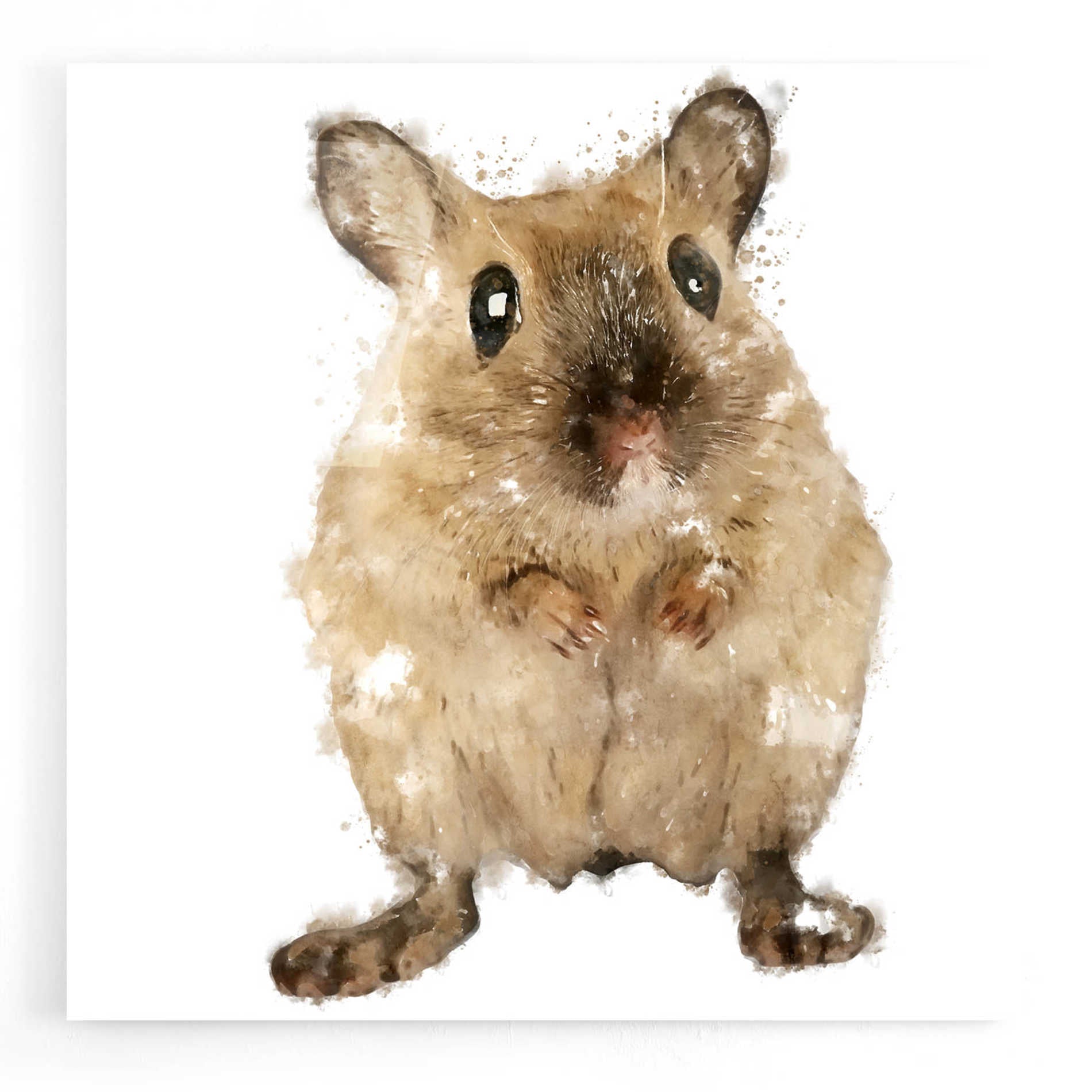 Epic Art 'Curious Mouse' by Kim Curinga, Acrylic Glass Wall Art