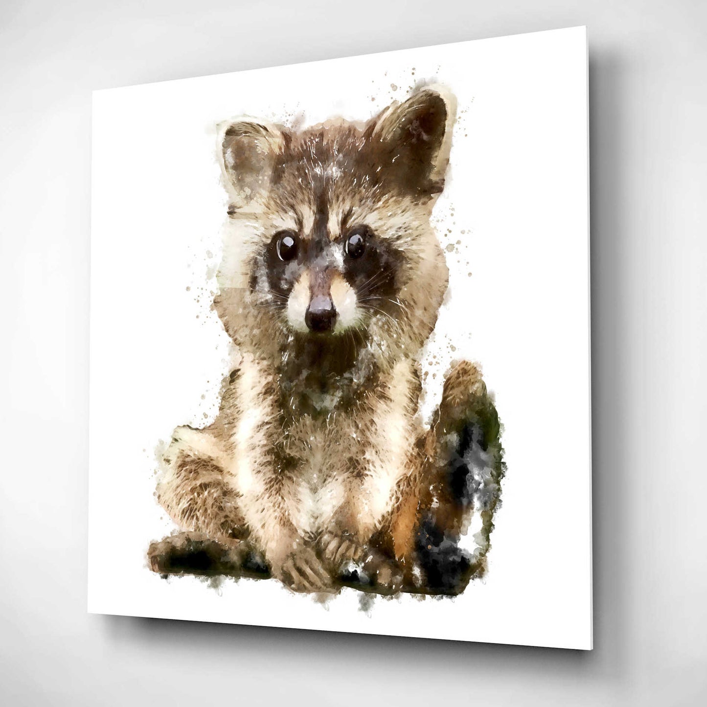 Epic Art 'Ricky Racoon' by Kim Curinga, Acrylic Glass Wall Art,12x12