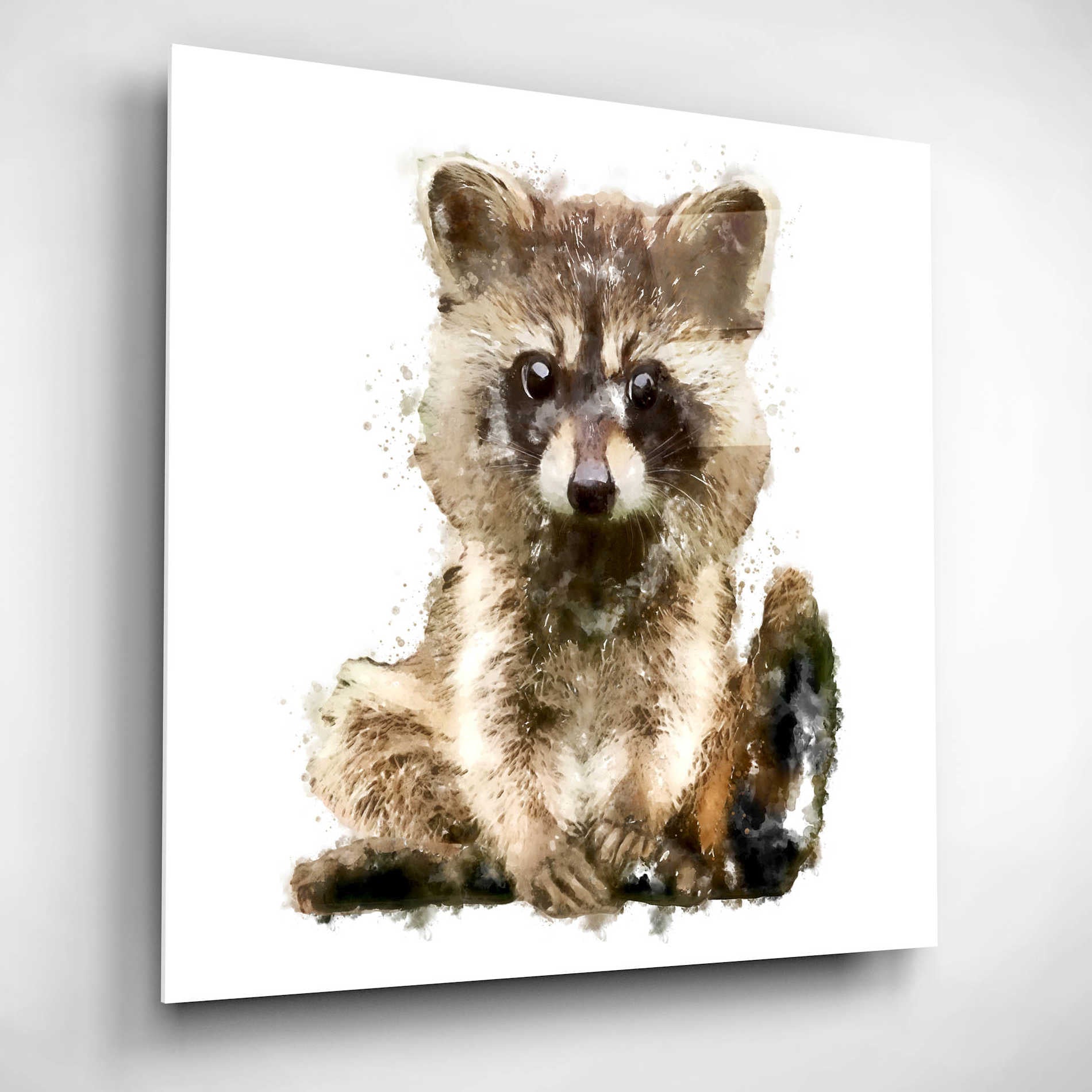 Epic Art 'Ricky Racoon' by Kim Curinga, Acrylic Glass Wall Art,12x12